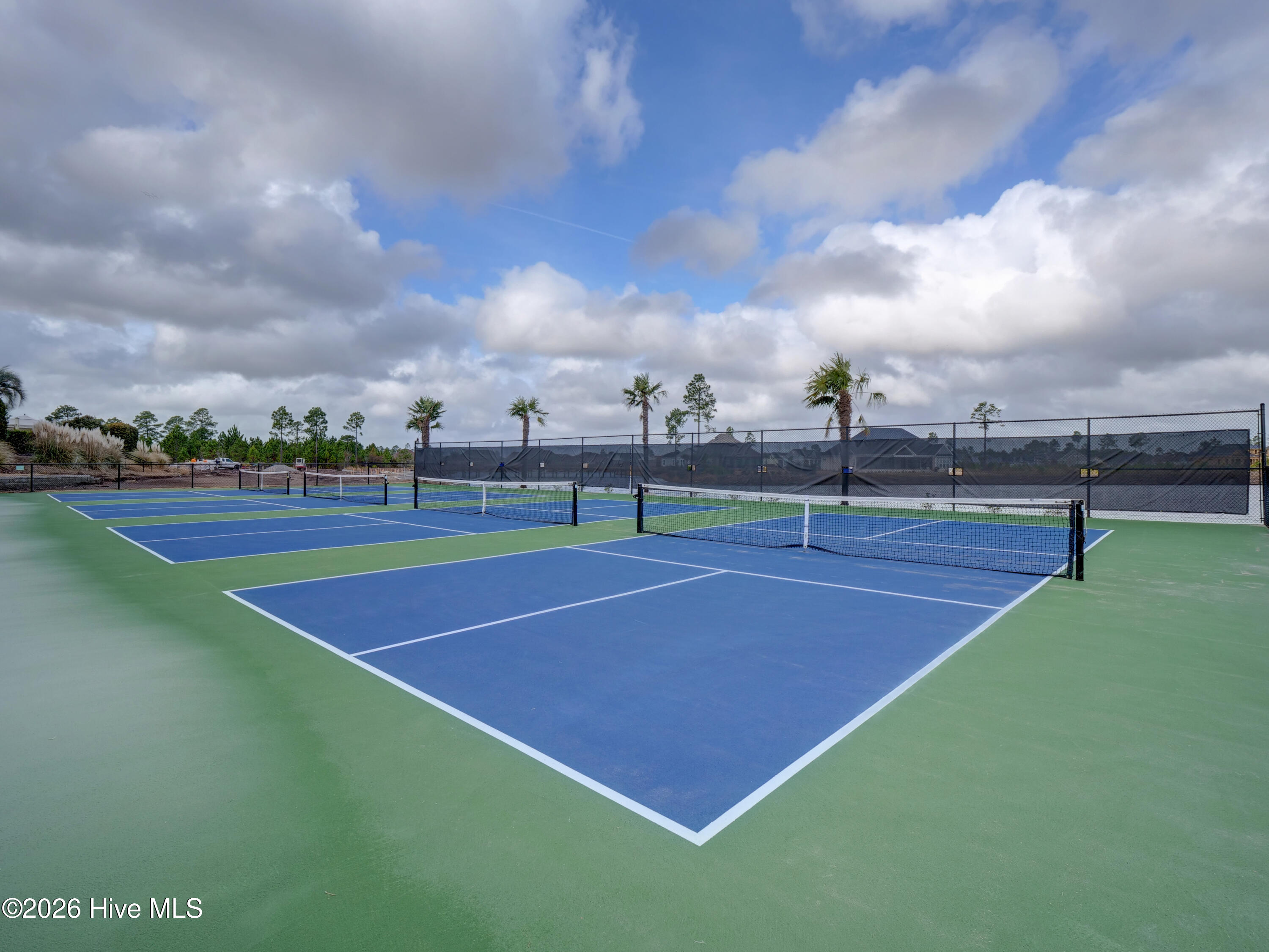 100554141 | Photo 44