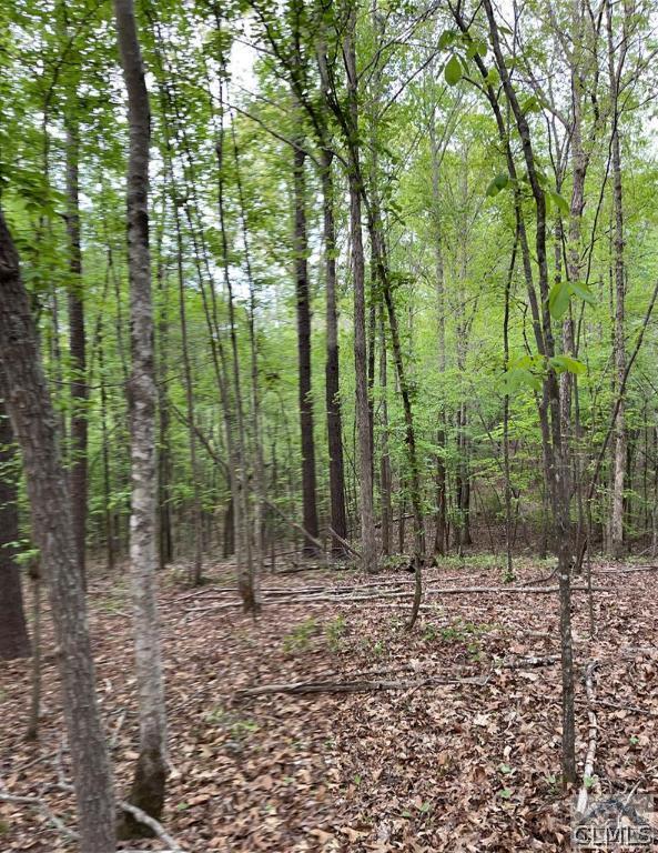C.E. Norman Road, Lincolnton, GA 30817 Listing Photo  2