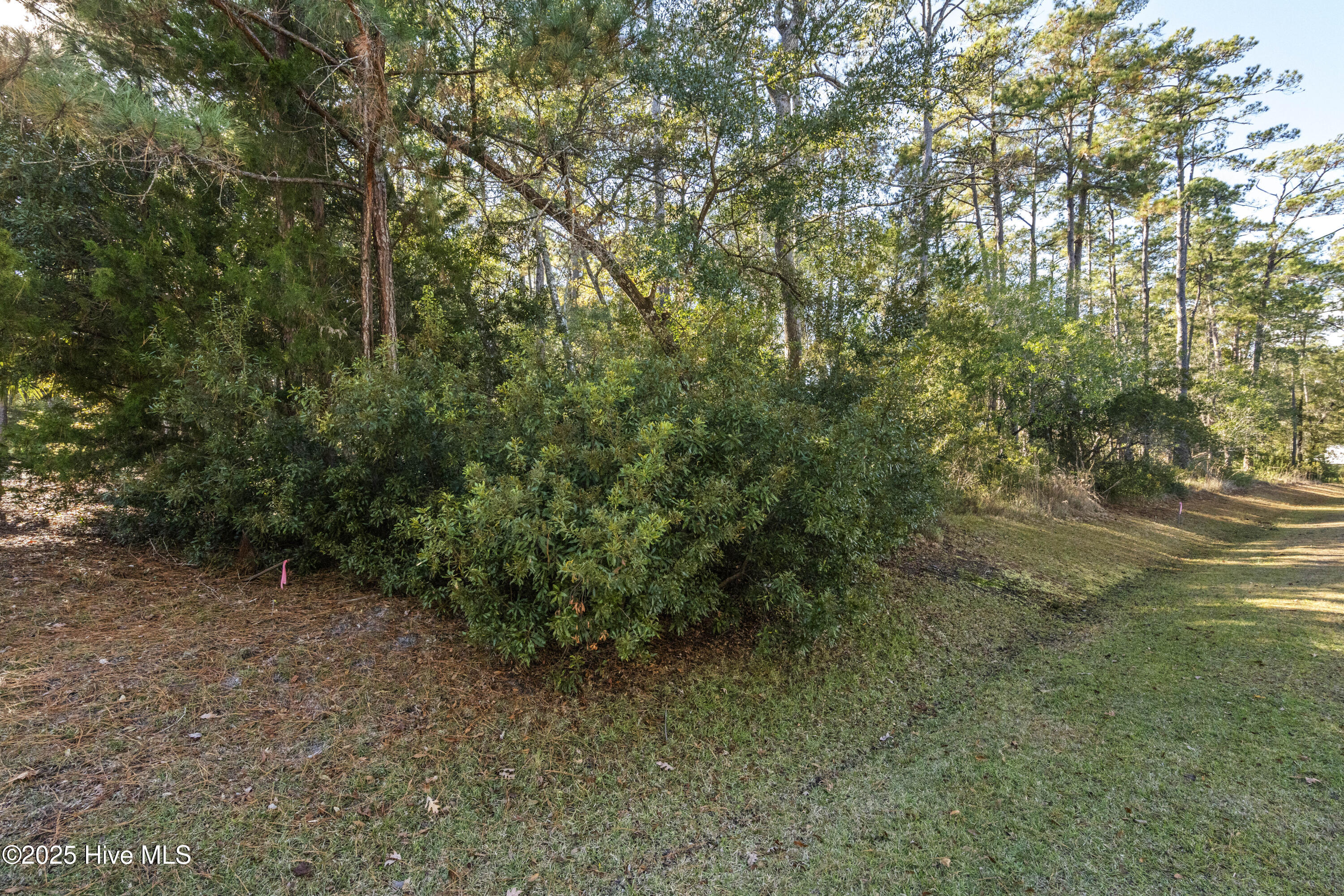 100545319 | Photo 10