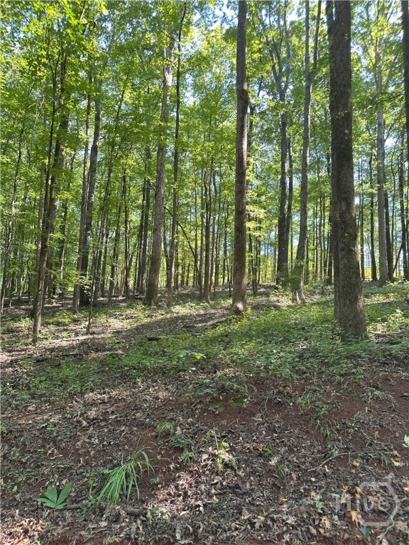 2470 Fears, Madison, Georgia, 2 Bedroom Bedrooms, 0 ,2 BathroomBathrooms,Land,For sale,Fears,CL340625