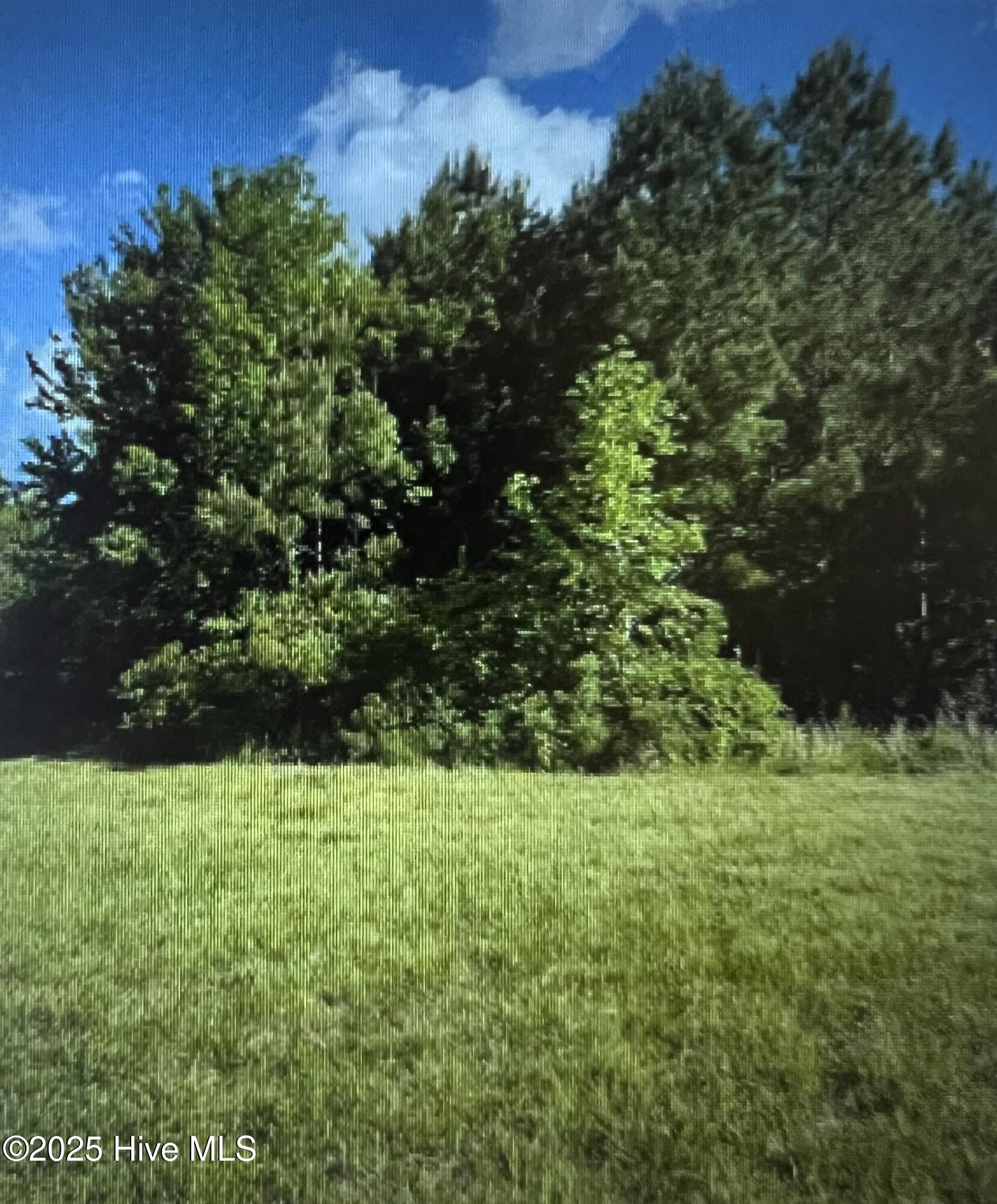 150 Branch Bay Landing Court, Hertford, NC, 27944