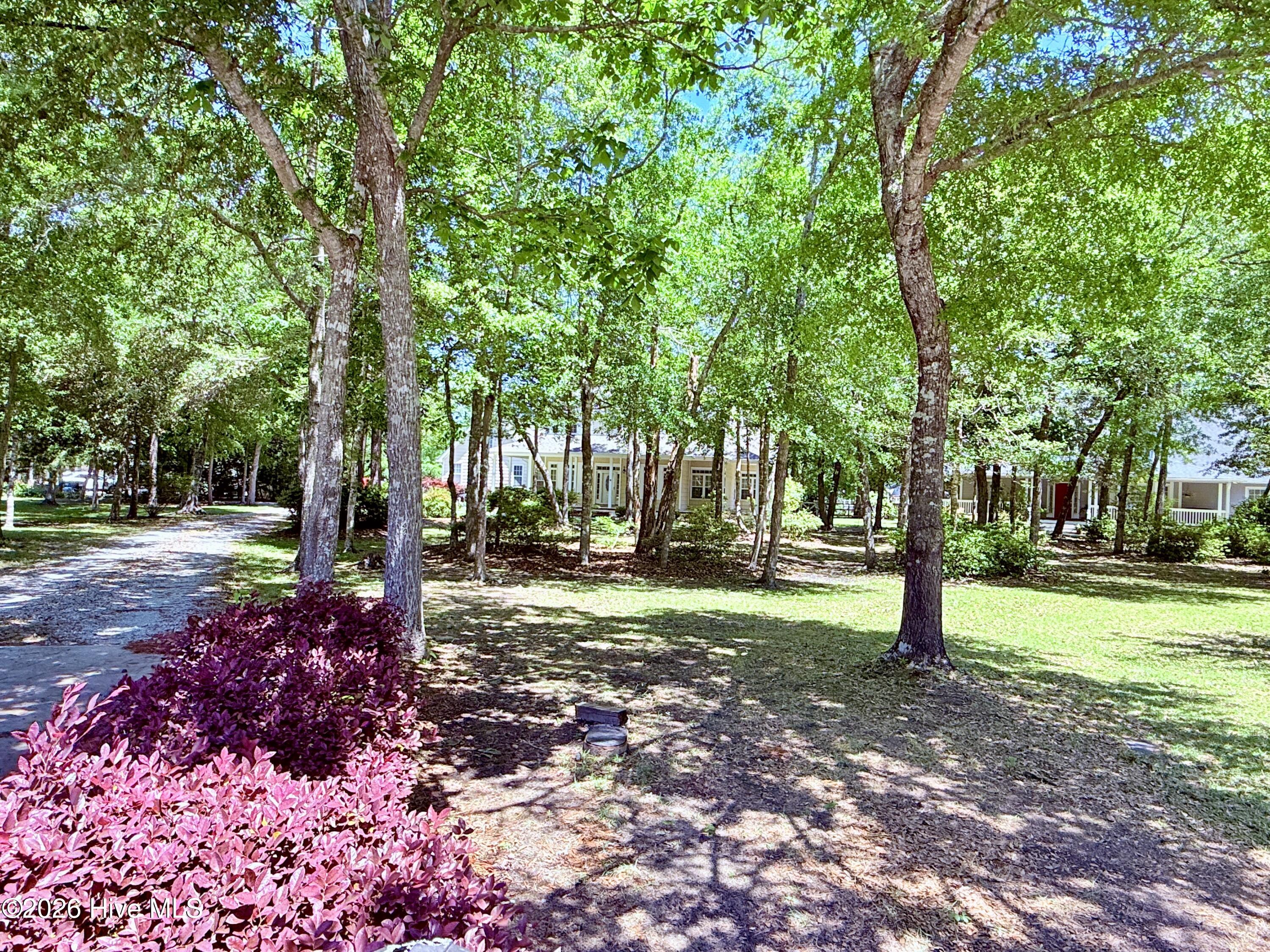 100571320 | Photo 54