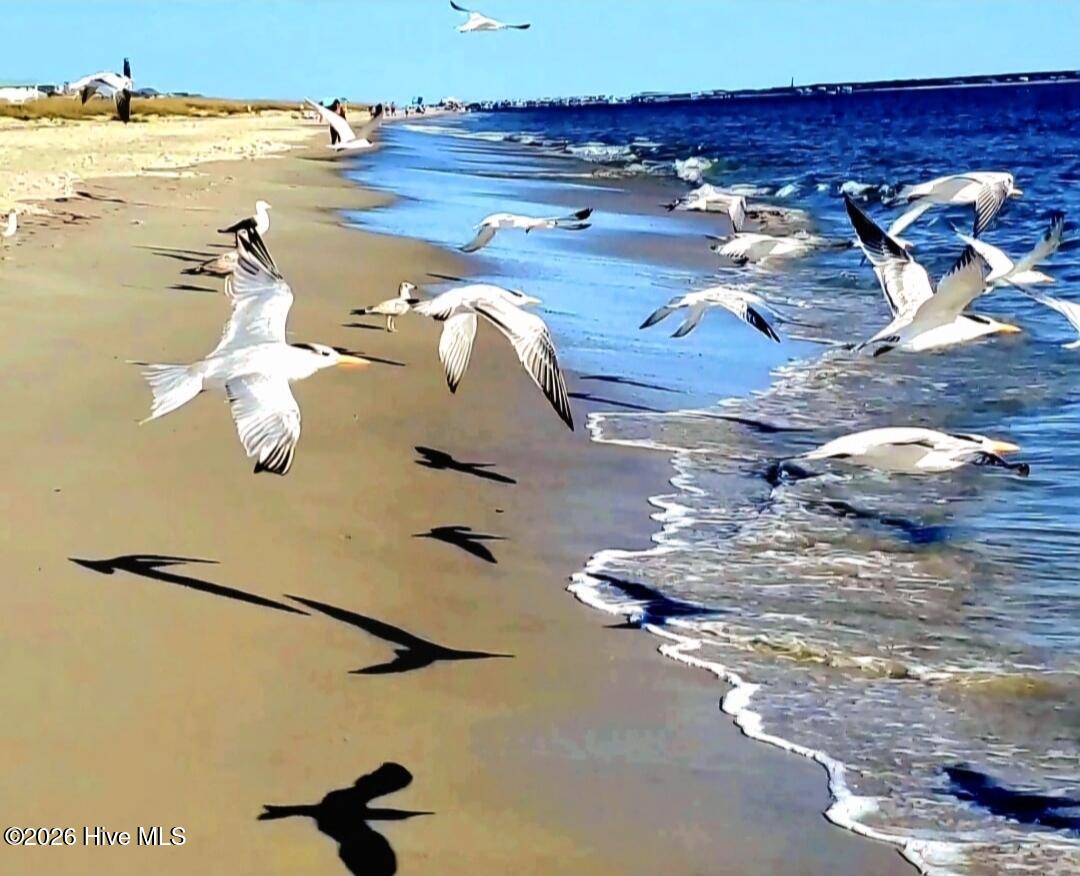 100549173 | Photo 26