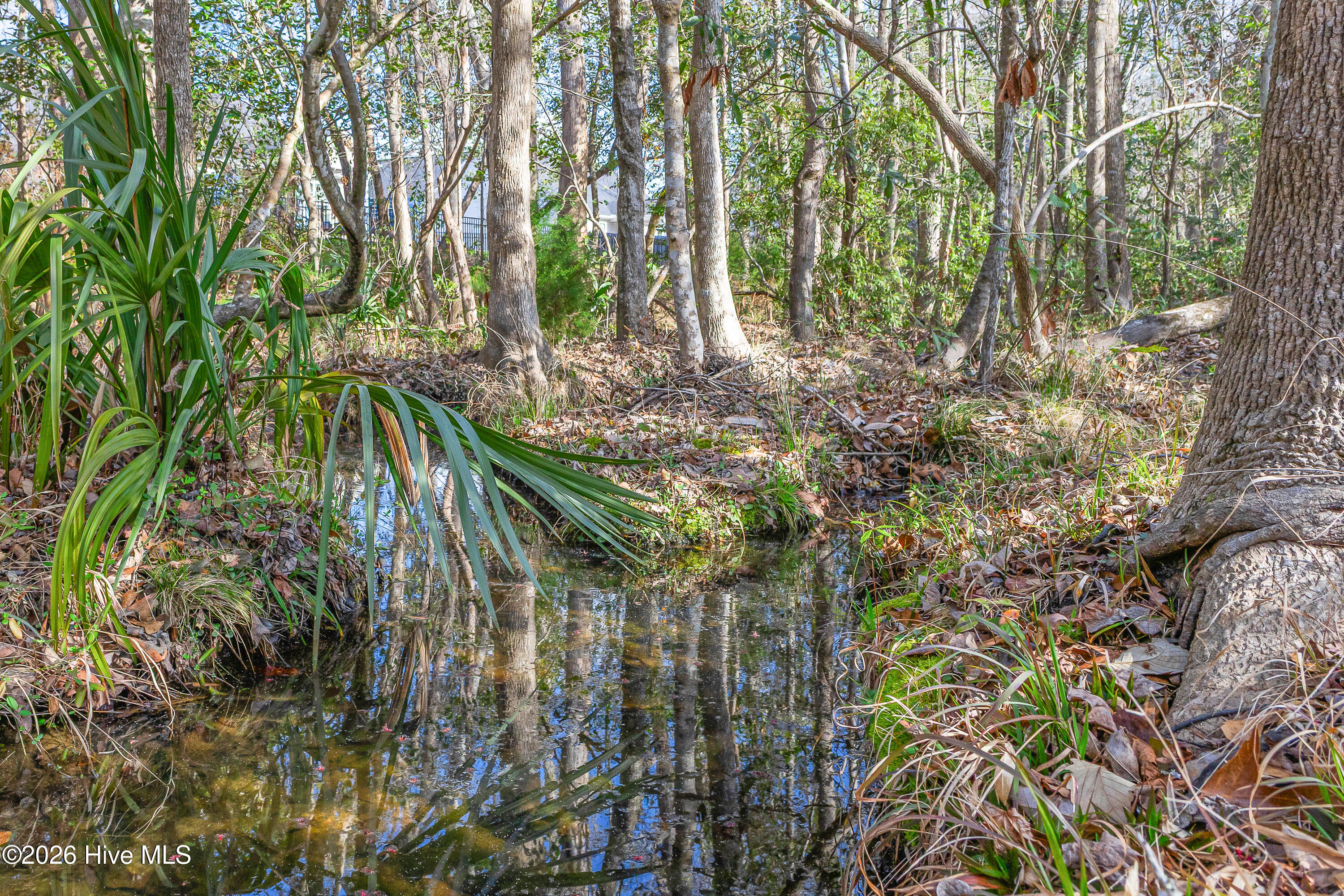 100561290 | Photo 46