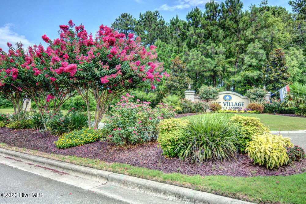 100553445 | Photo 34