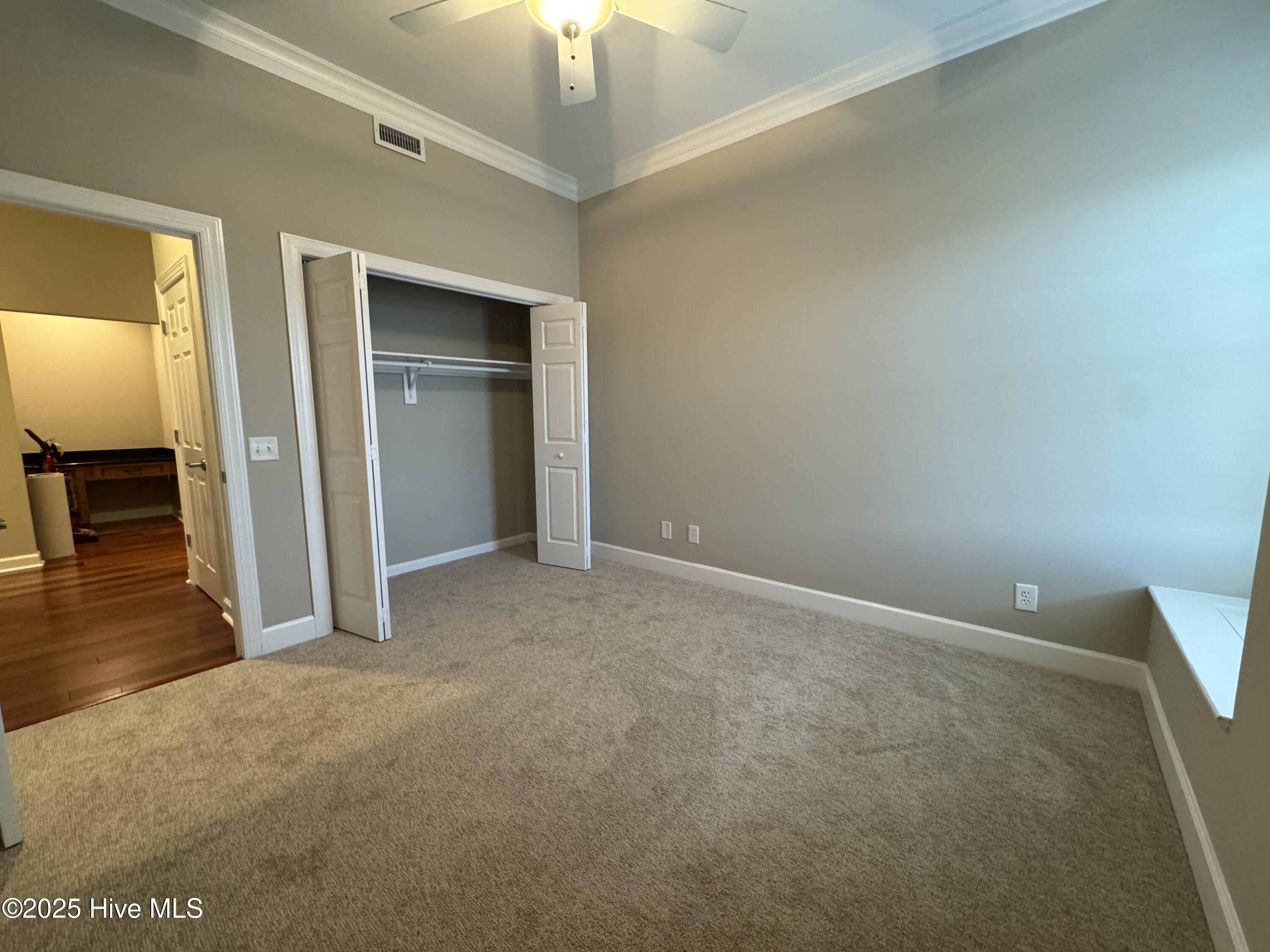 100515409 | Photo 13