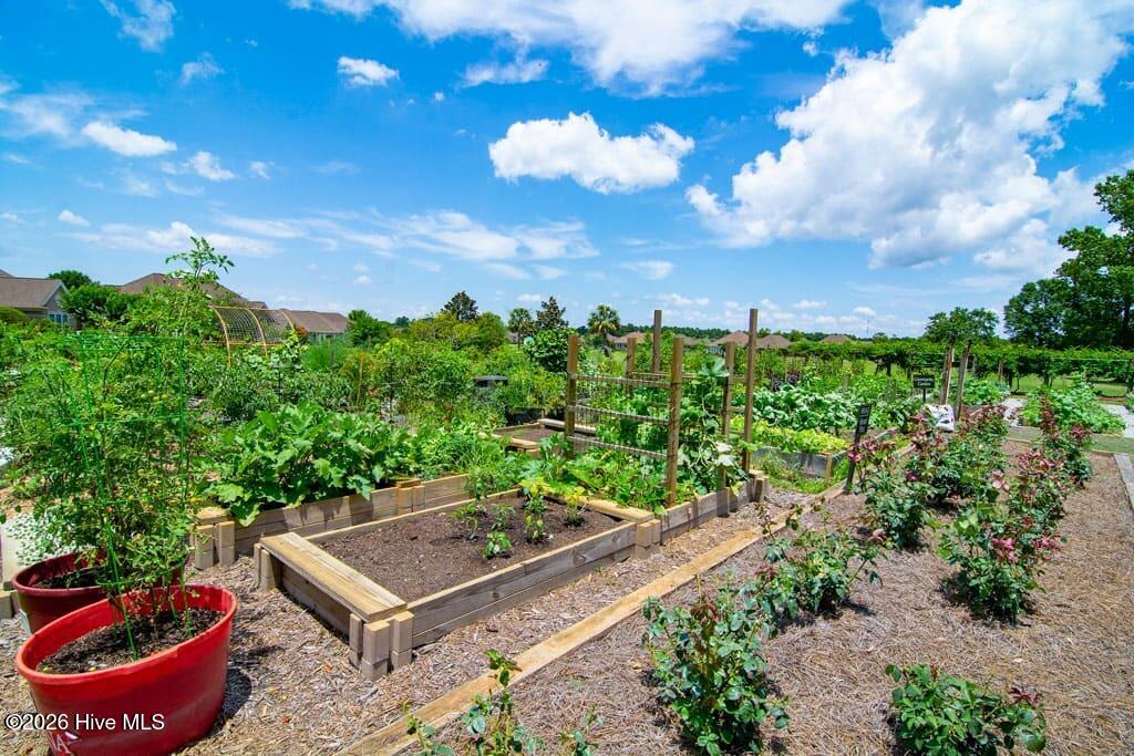 6482 Kirkwall Point SW, Ocean Isle Beach, NC, 28469