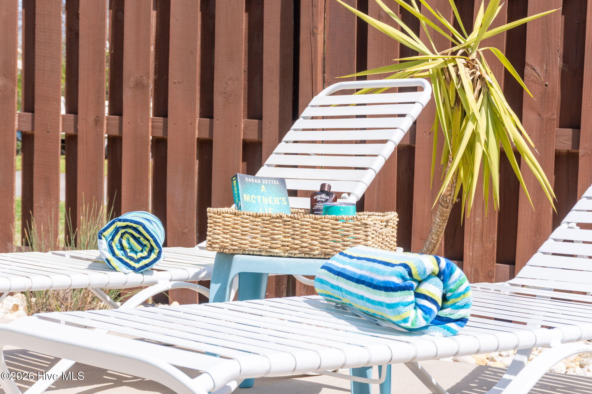 100562589 | Photo 63