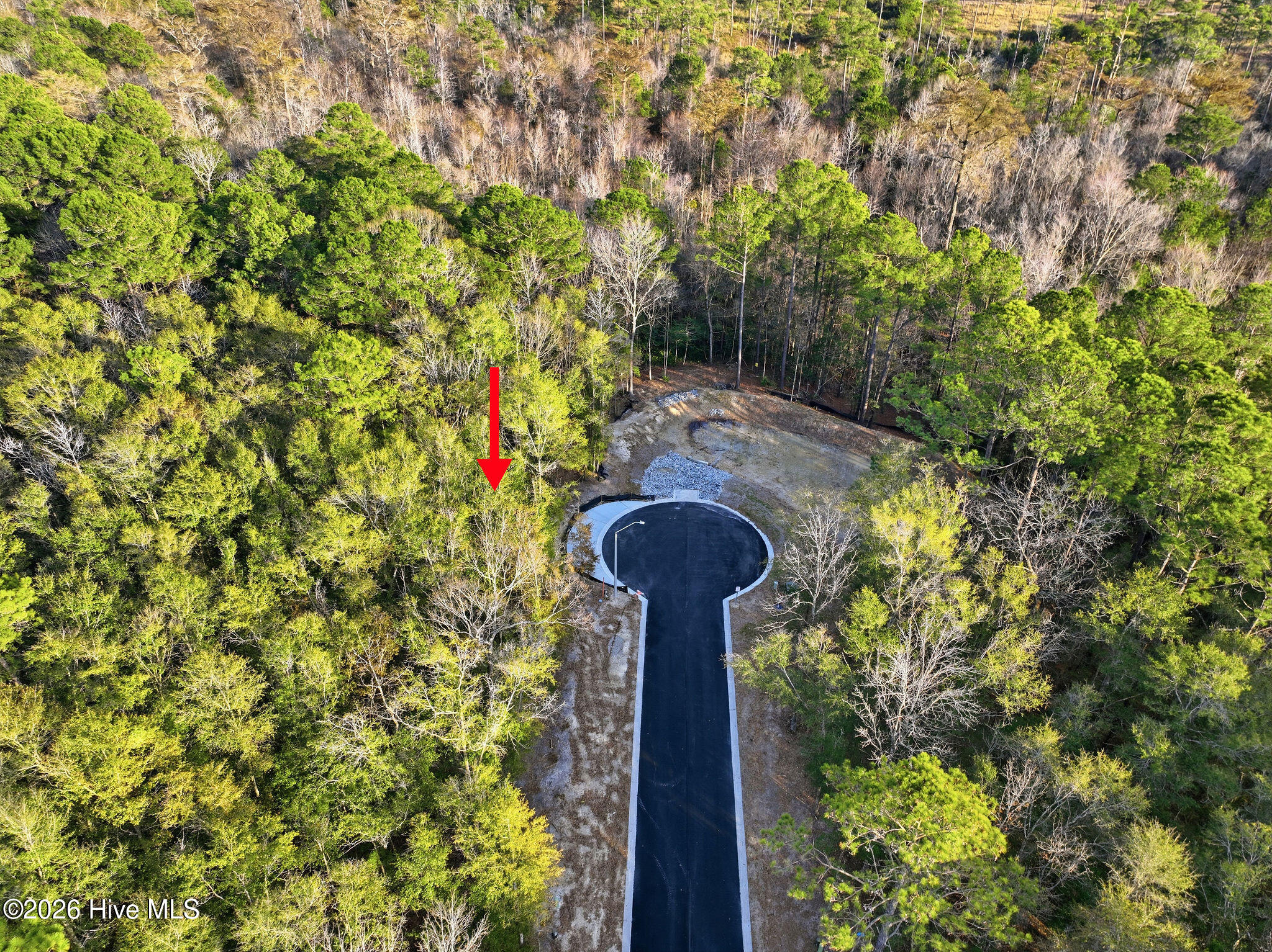 100556106 | Photo 14