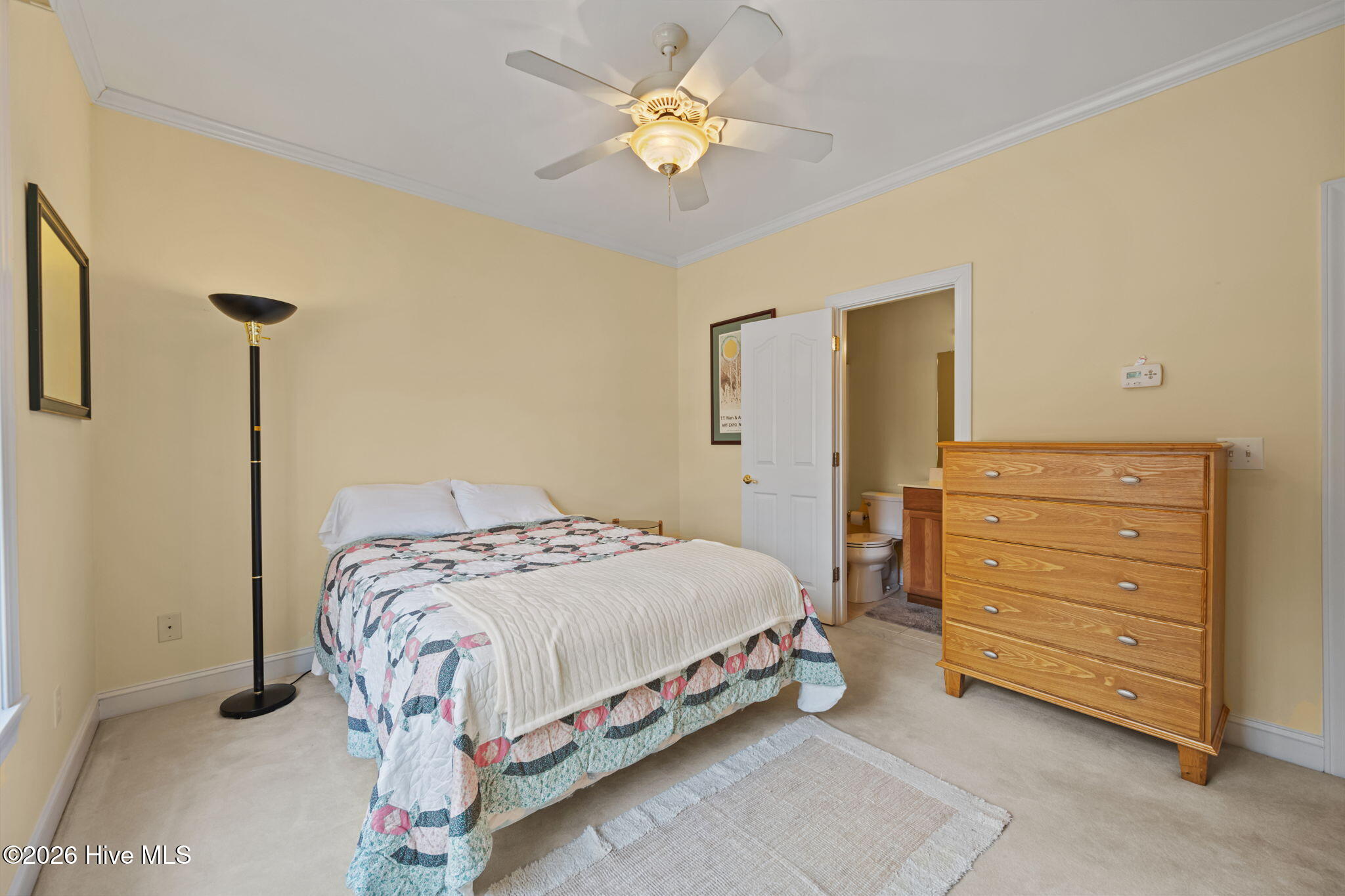 100552548 | Photo 20