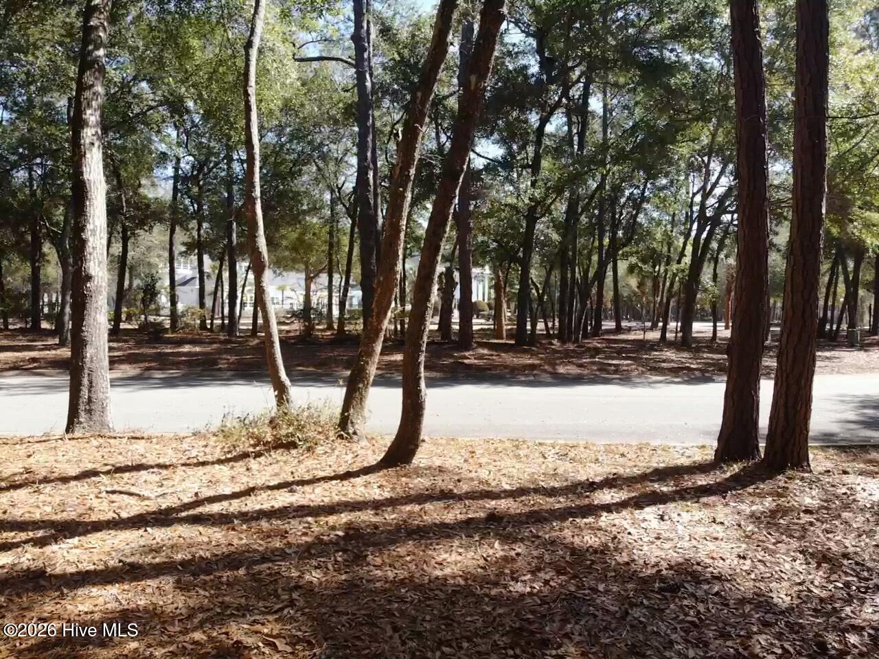 100559095 | Photo 11