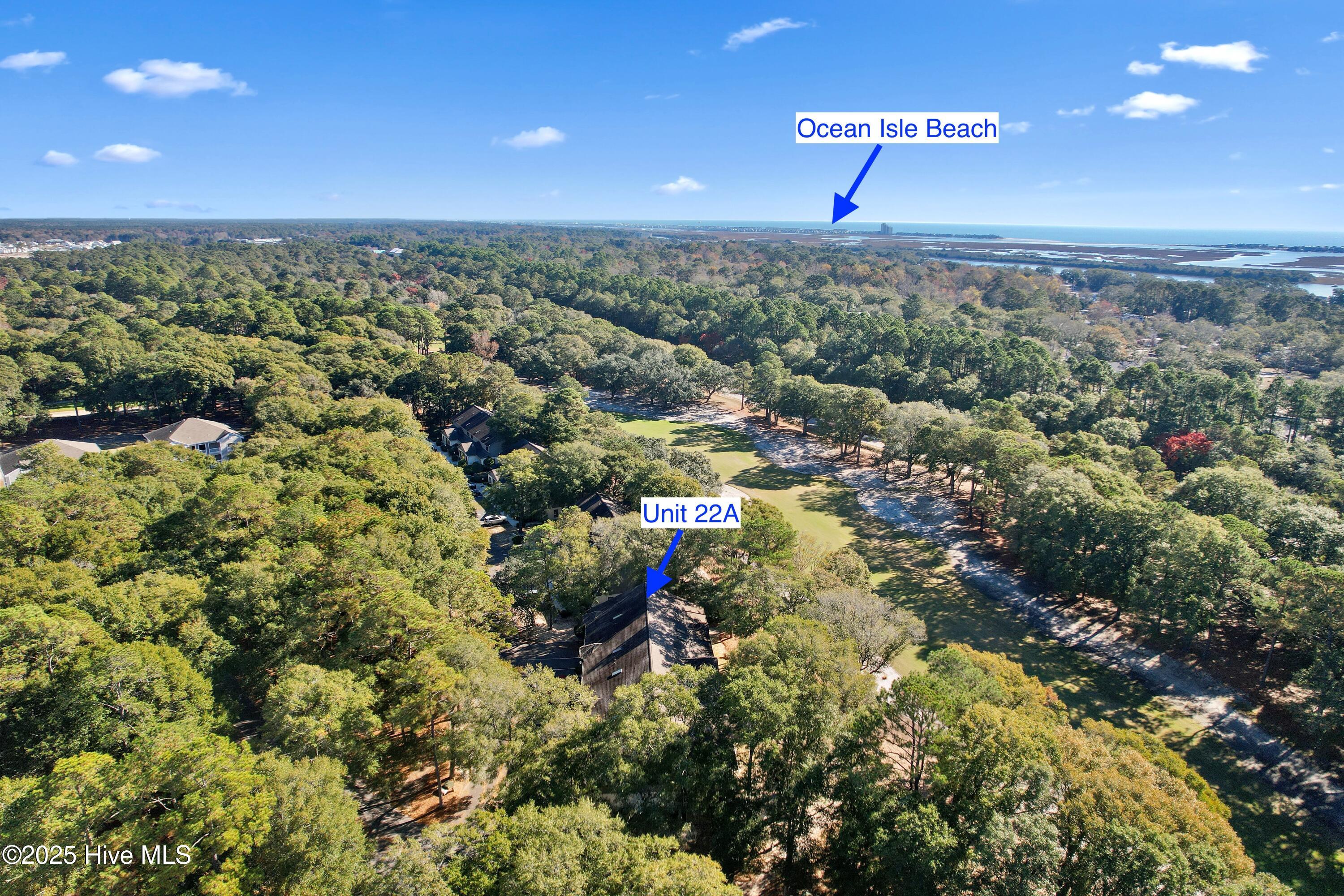 100544221 | Photo 50