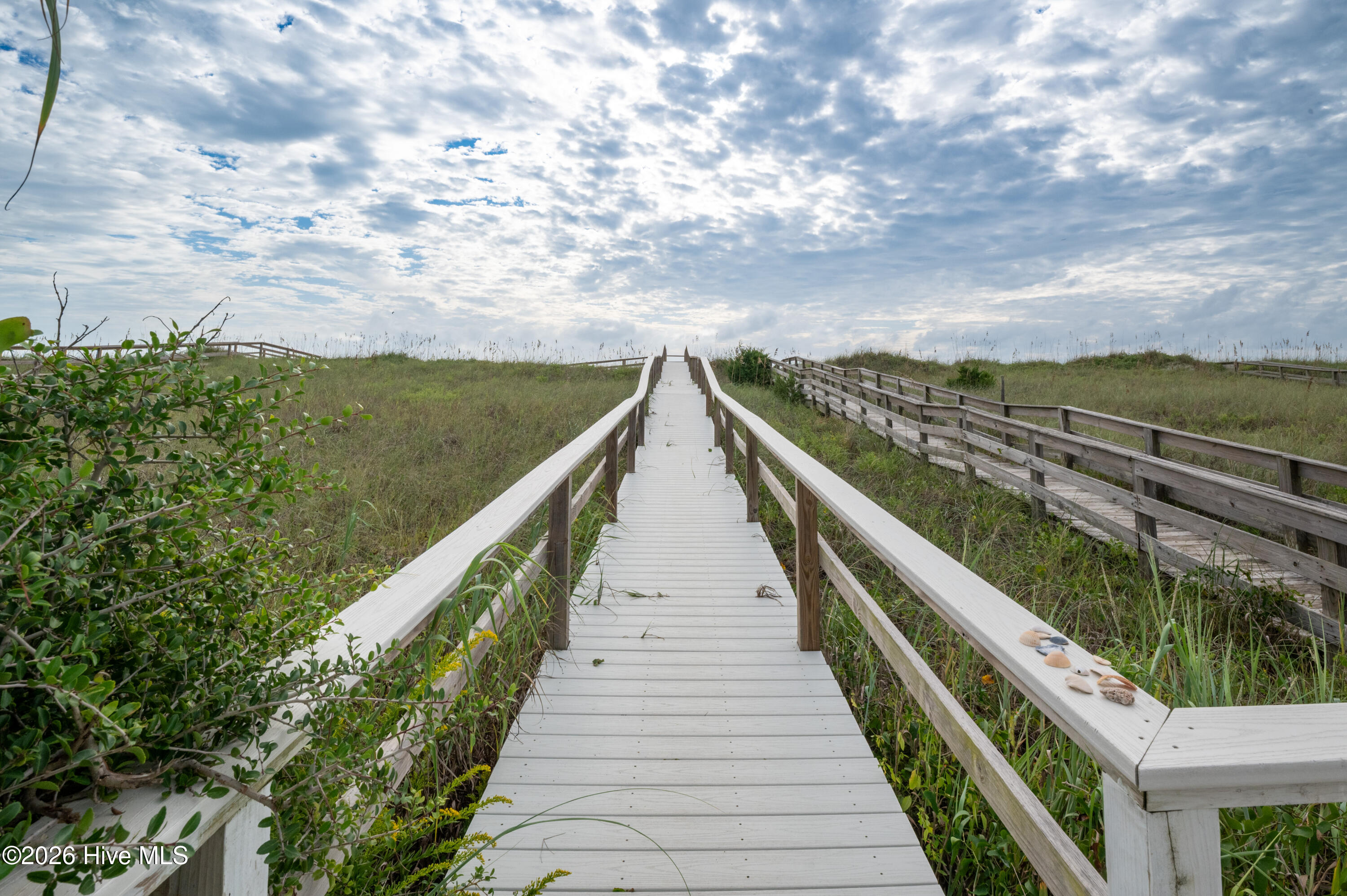 100550825 | Photo 19