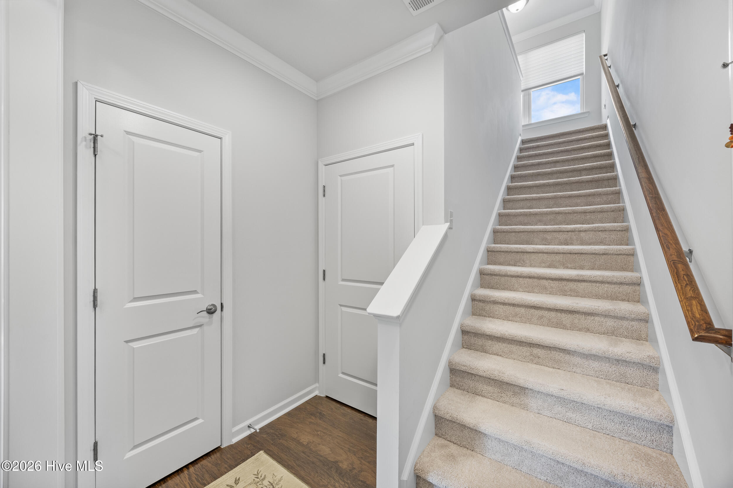 100570393 | Photo 22