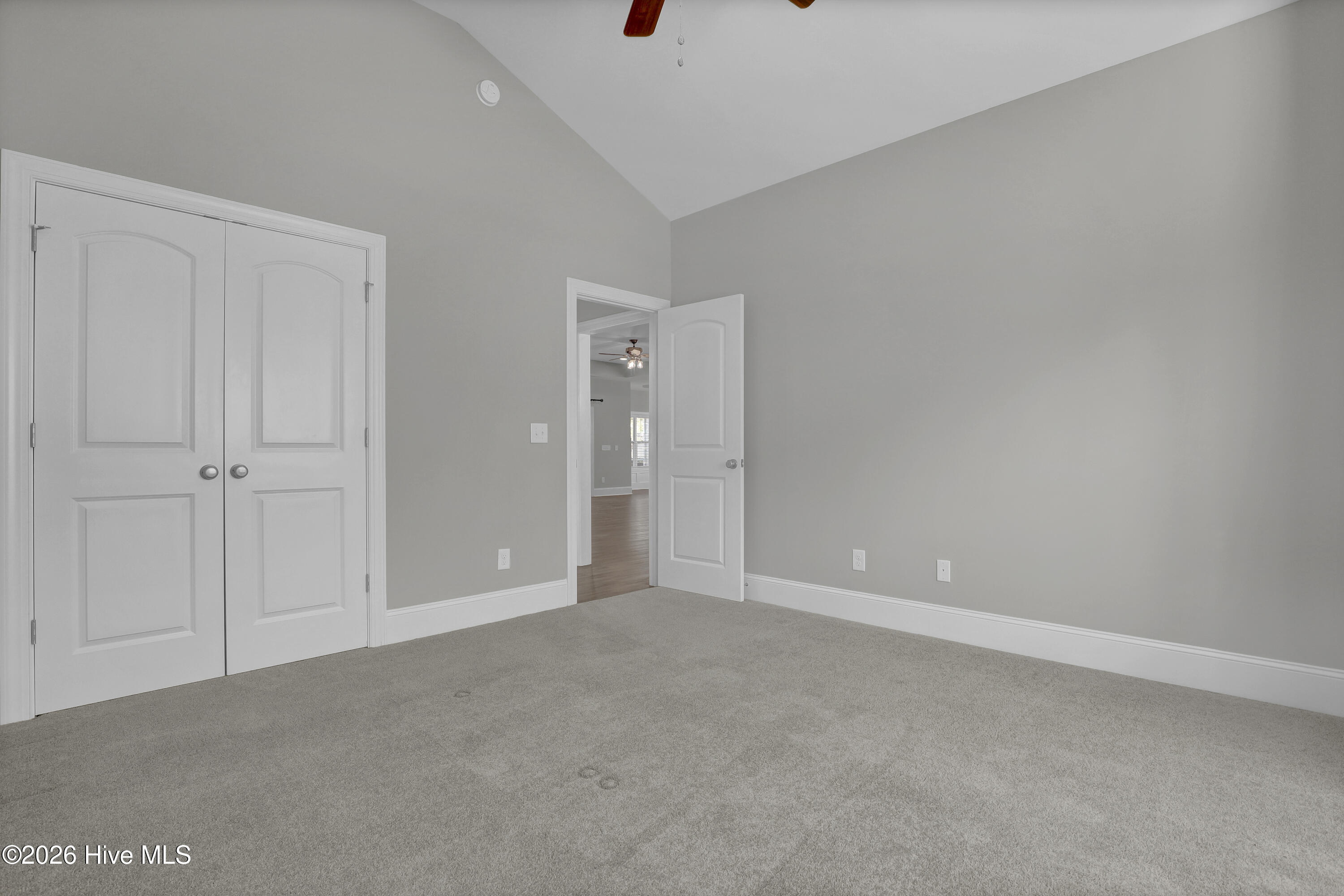 100564151 | Photo 19