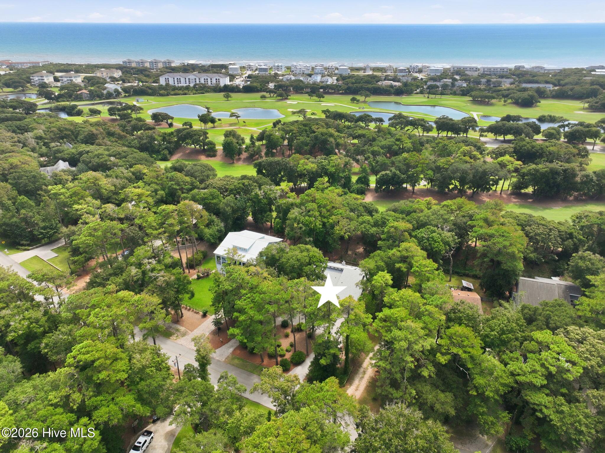 131 Oakleaf 