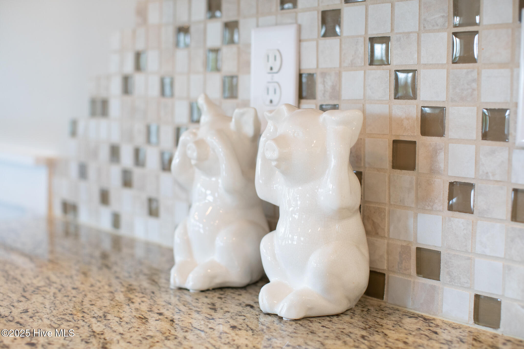 100507541 | Photo 77