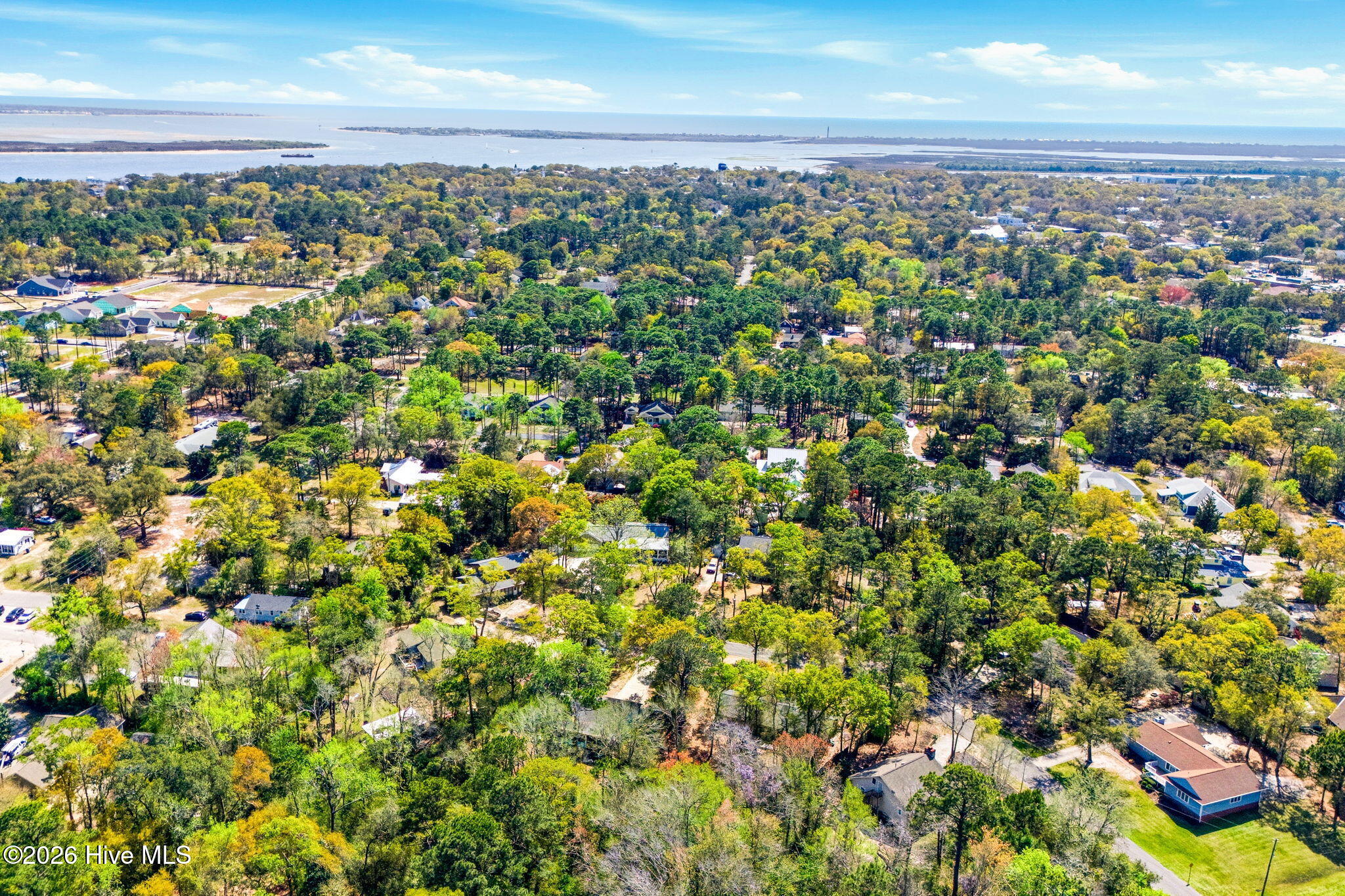 100564618 | Photo 48