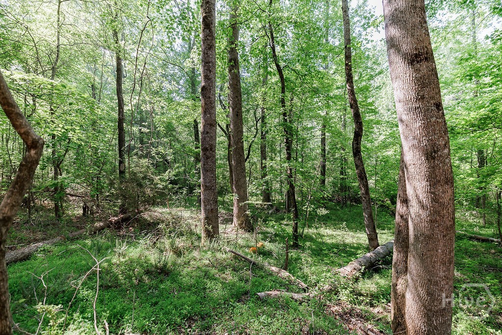 1774 Bridge Water Creek, Bishop, GA, 30621