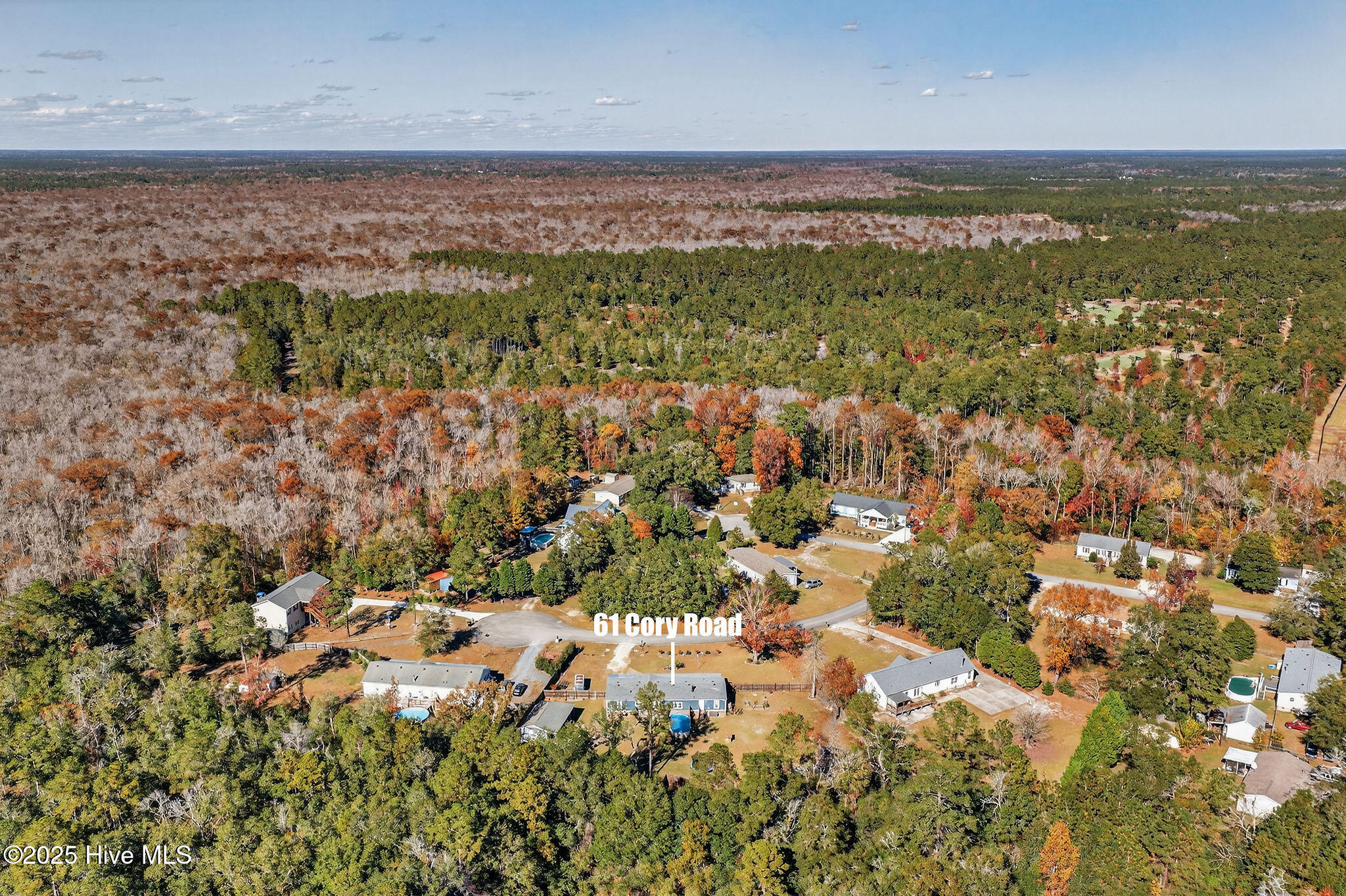 100540799 | Photo 51