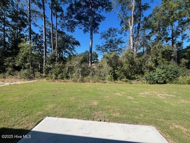 100537423 | Photo 31