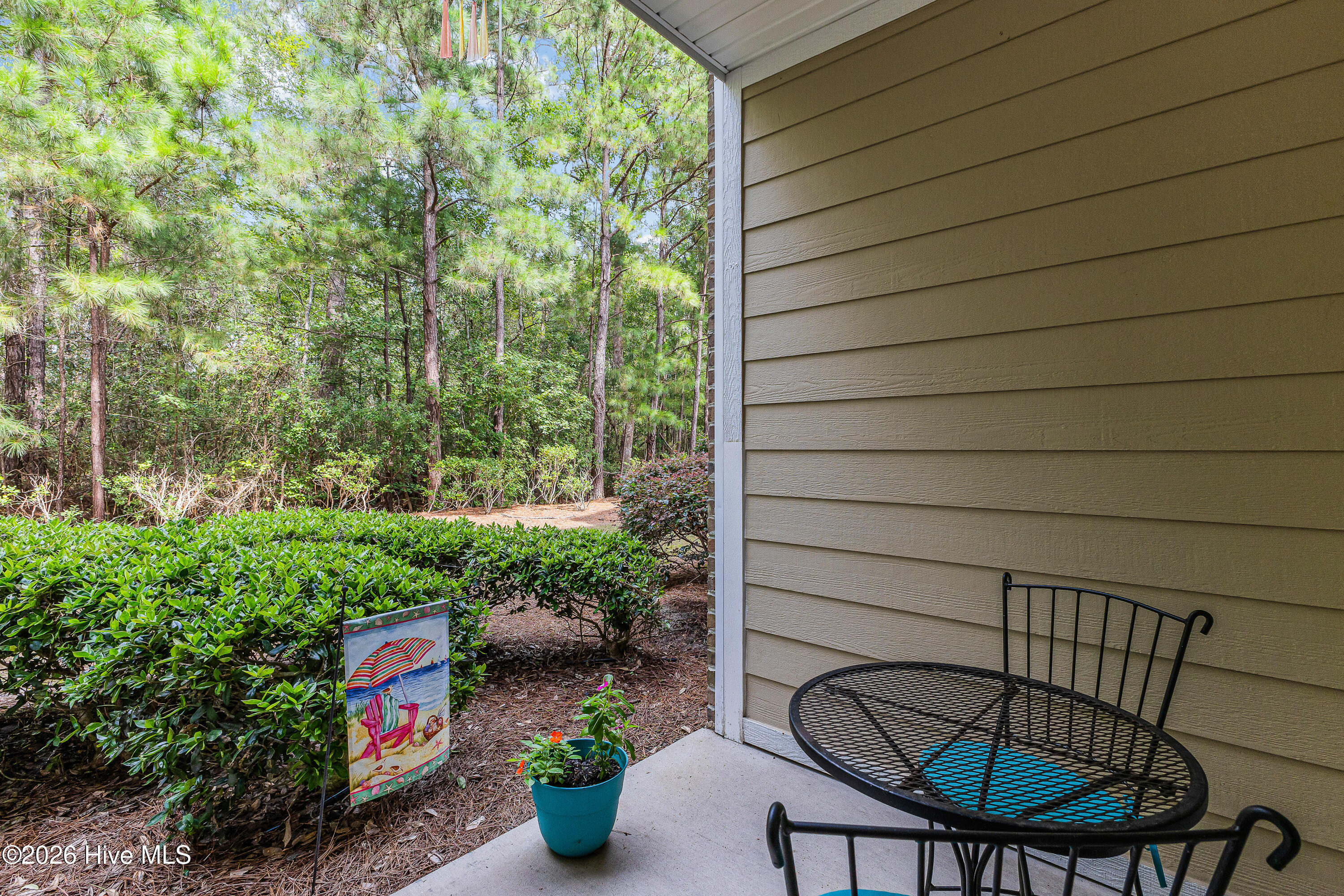 100555725 | Photo 27