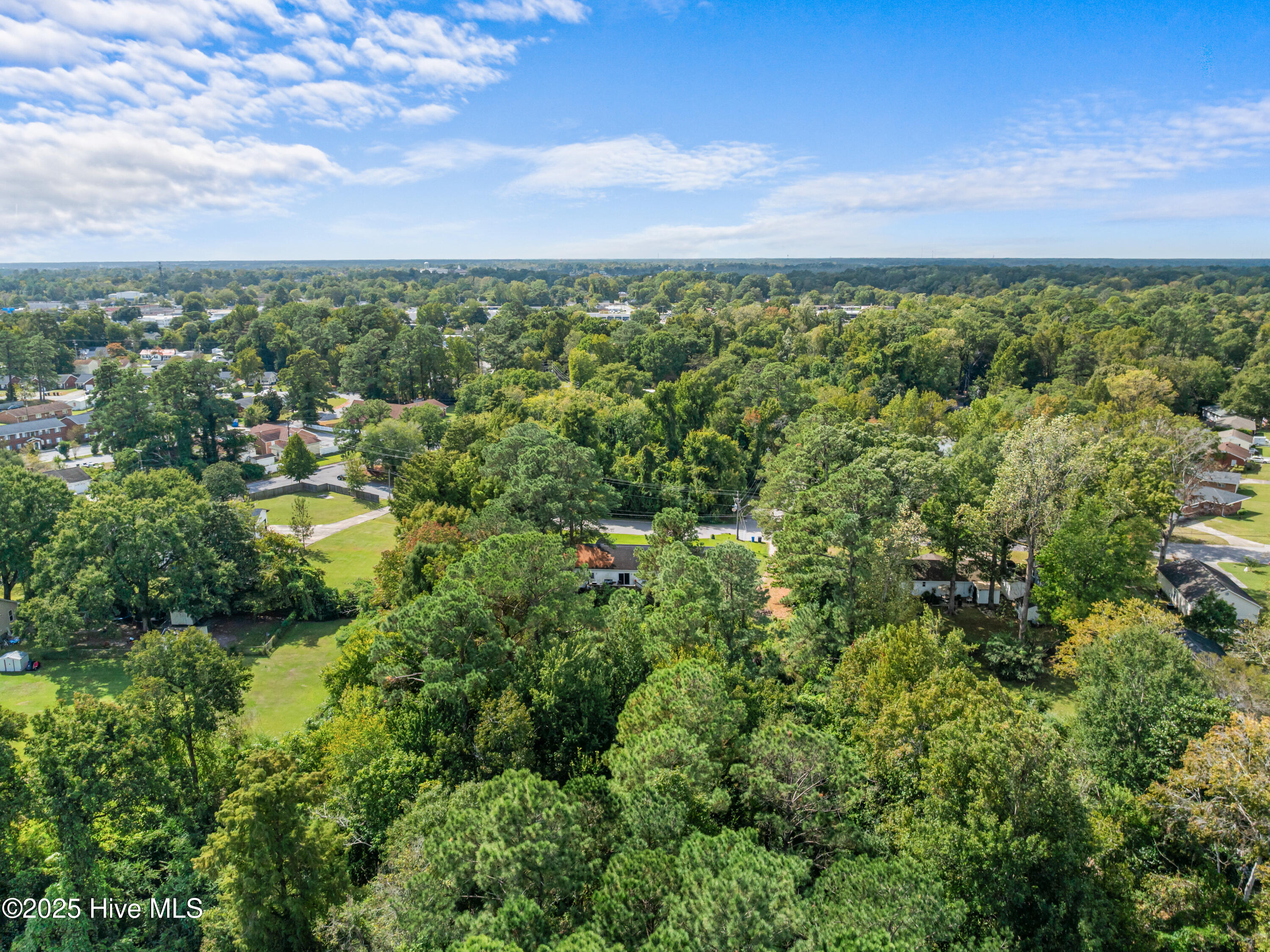 100536182 | Photo 17