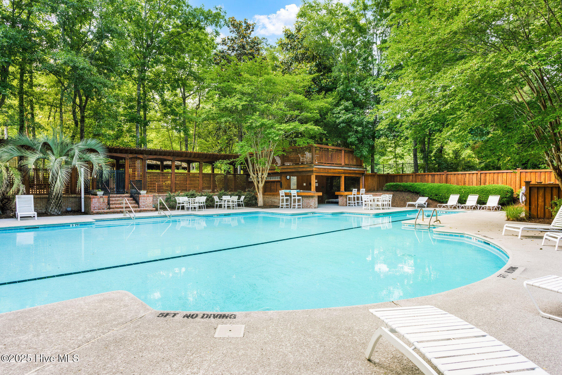 100495433 | Photo 12