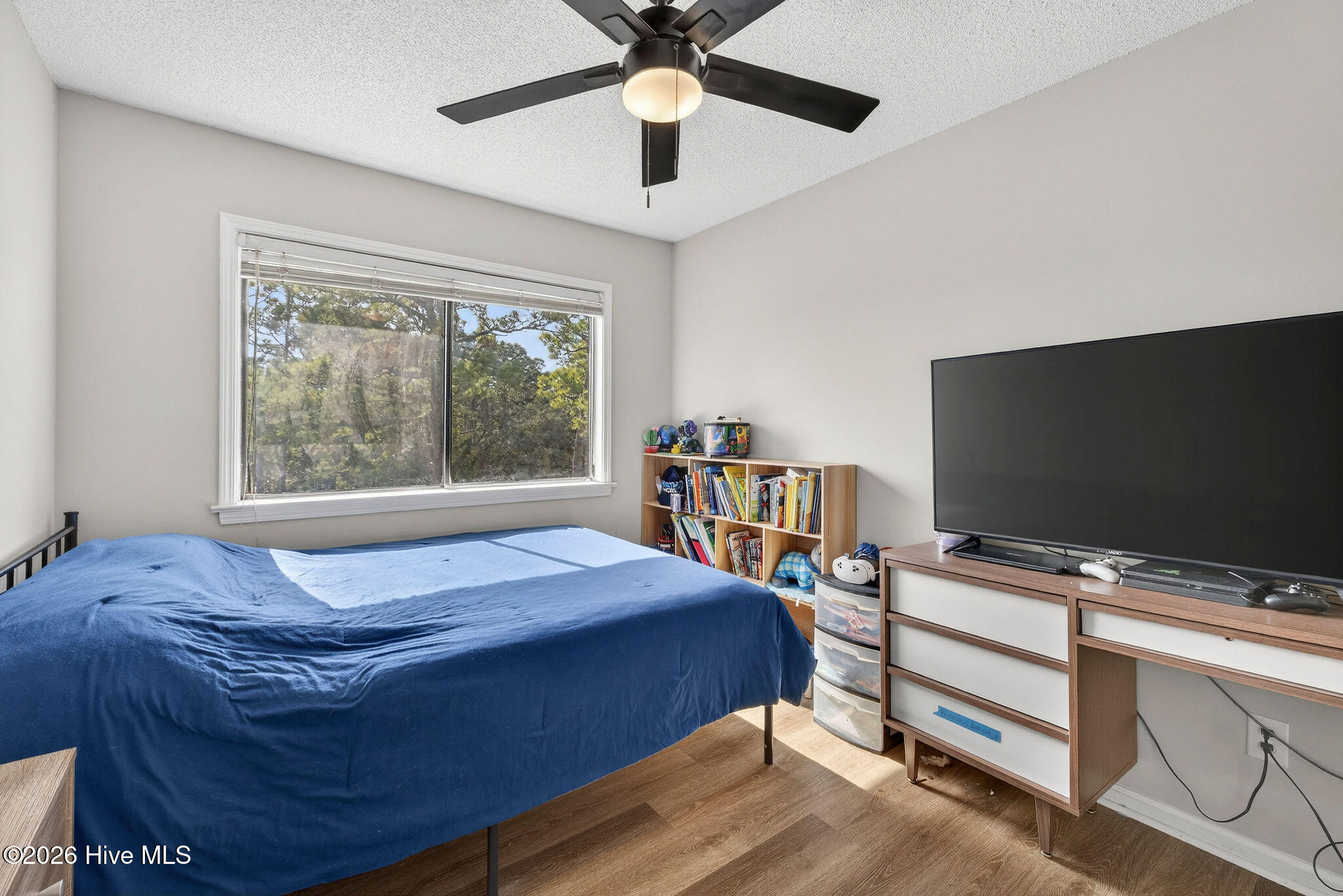 100555356 | Photo 23