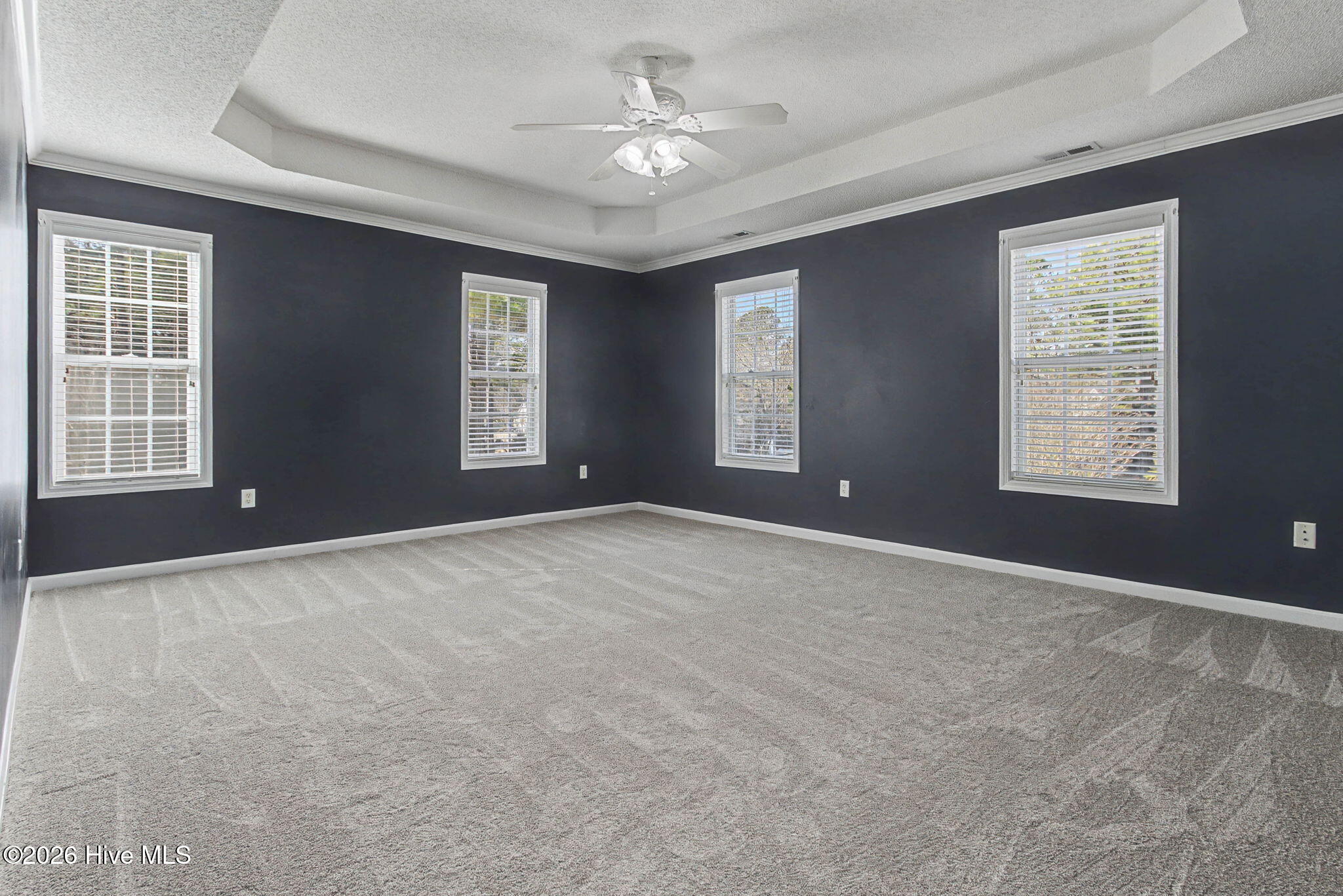 100547779 | Photo 28