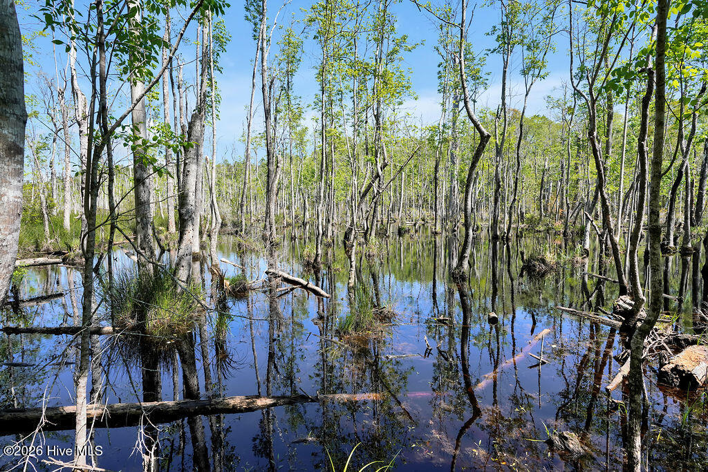 100569644 | Photo 37