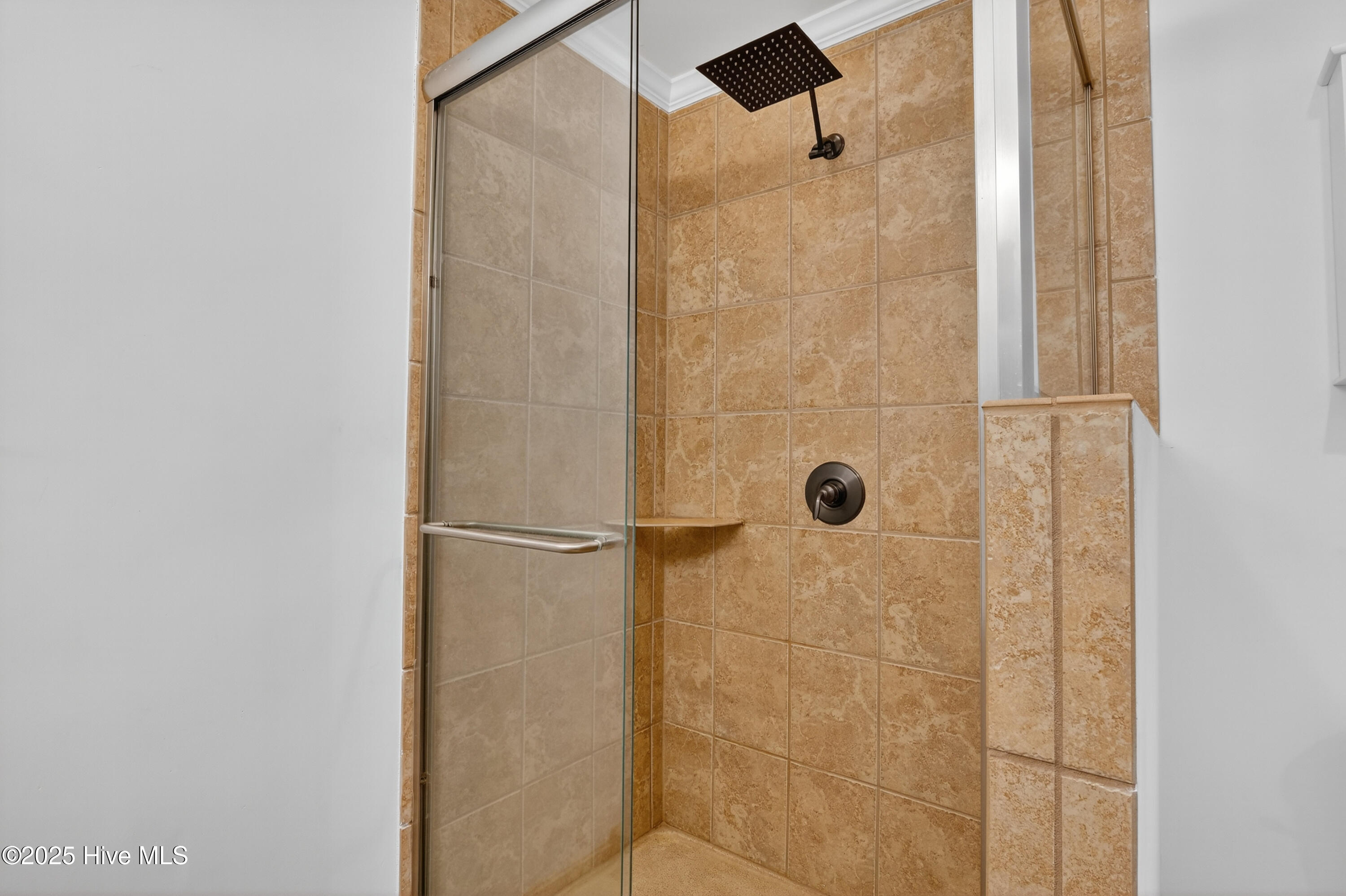 100524074 | Photo 20