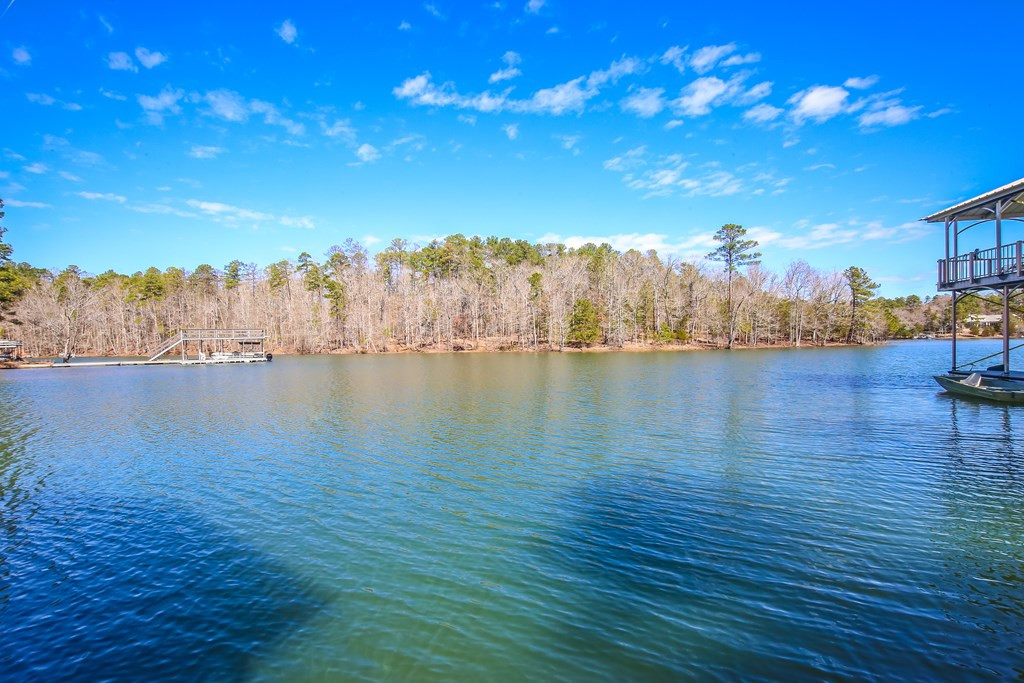 Undisclosed Address, Appling, GA, 30802