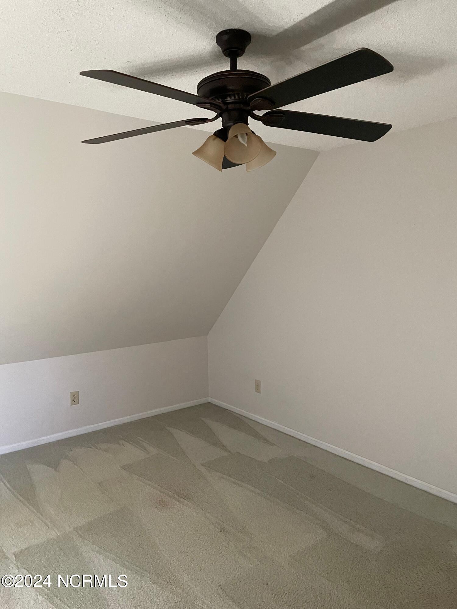 100560812 | Photo 33