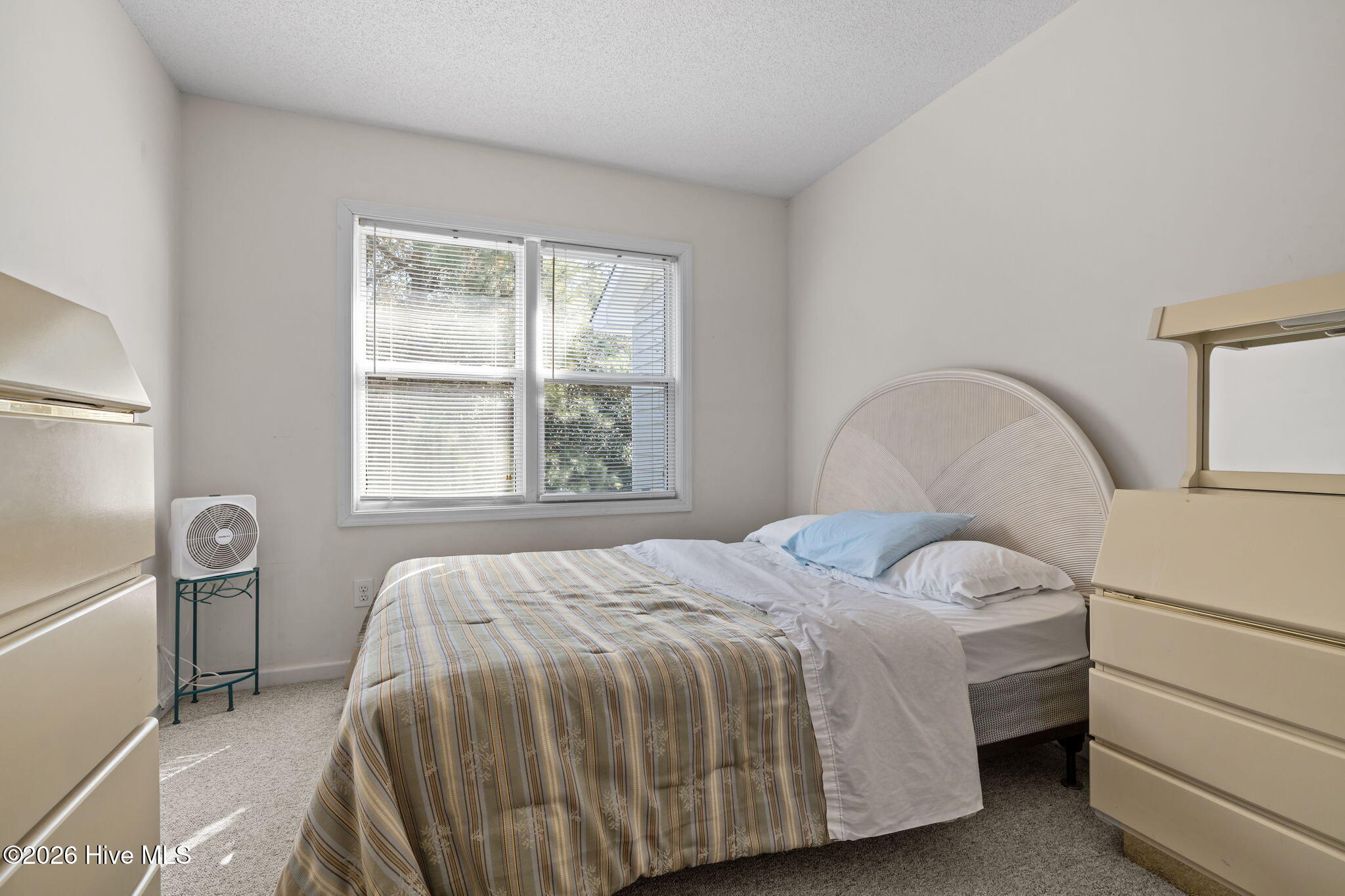 100557807 | Photo 26