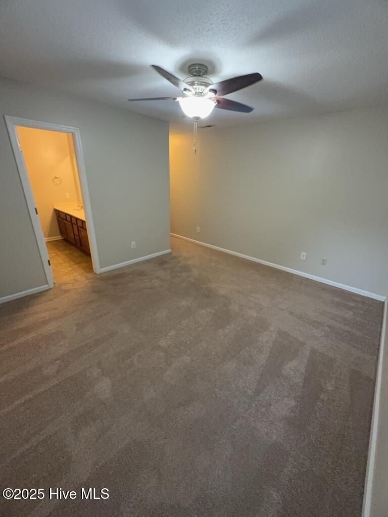 100541105 | Photo 11