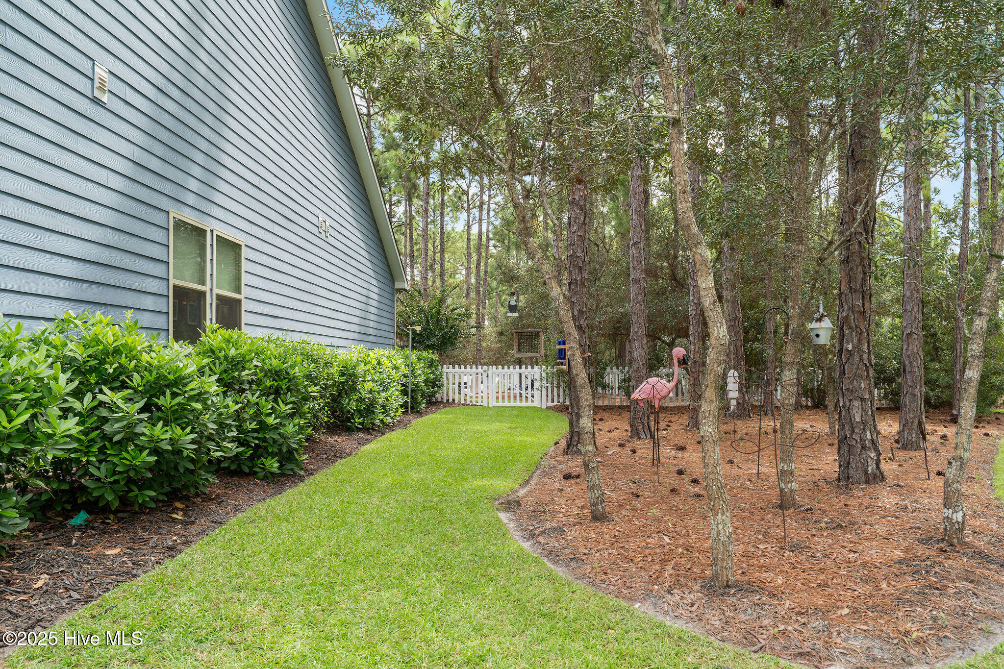 100529341 | Photo 50