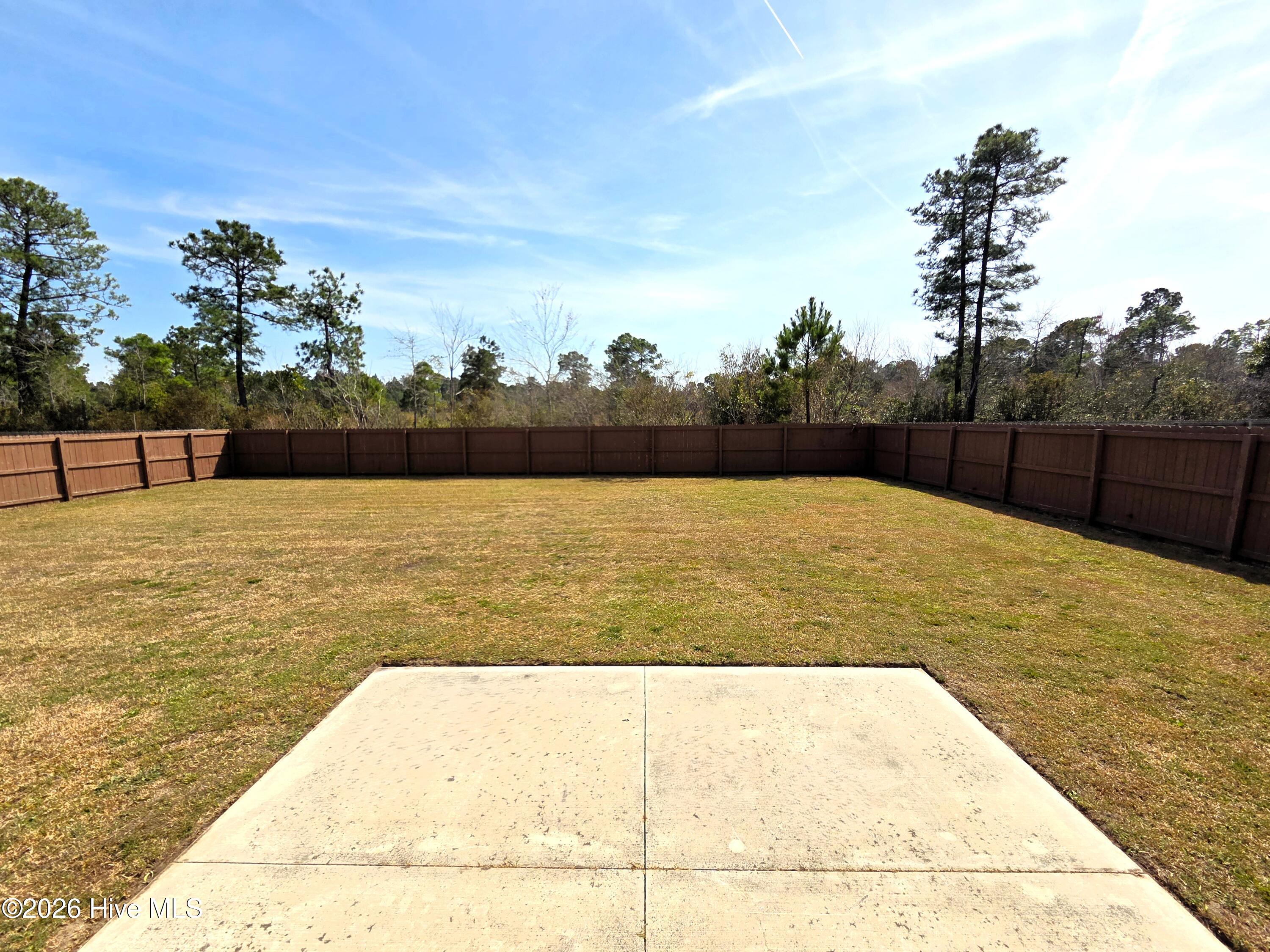 100527843 | Photo 68