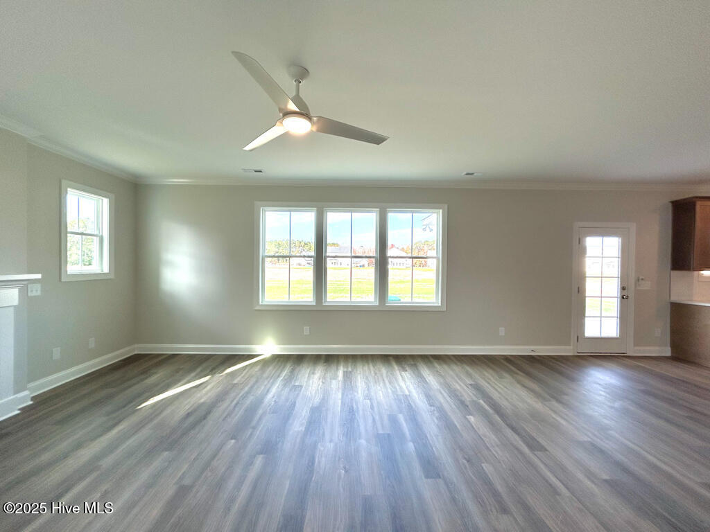 100535078 | Photo 26