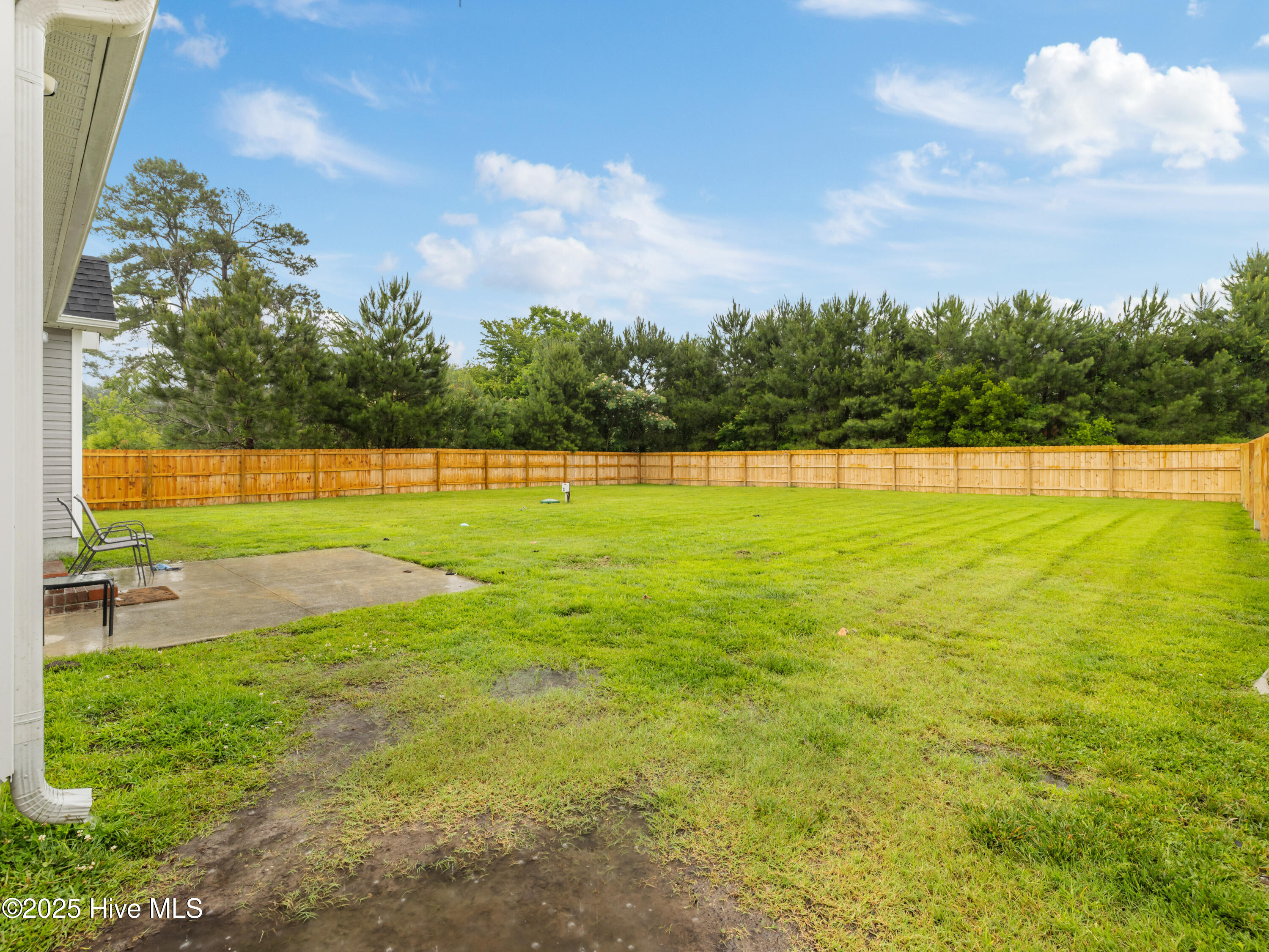 100512056 | Photo 12