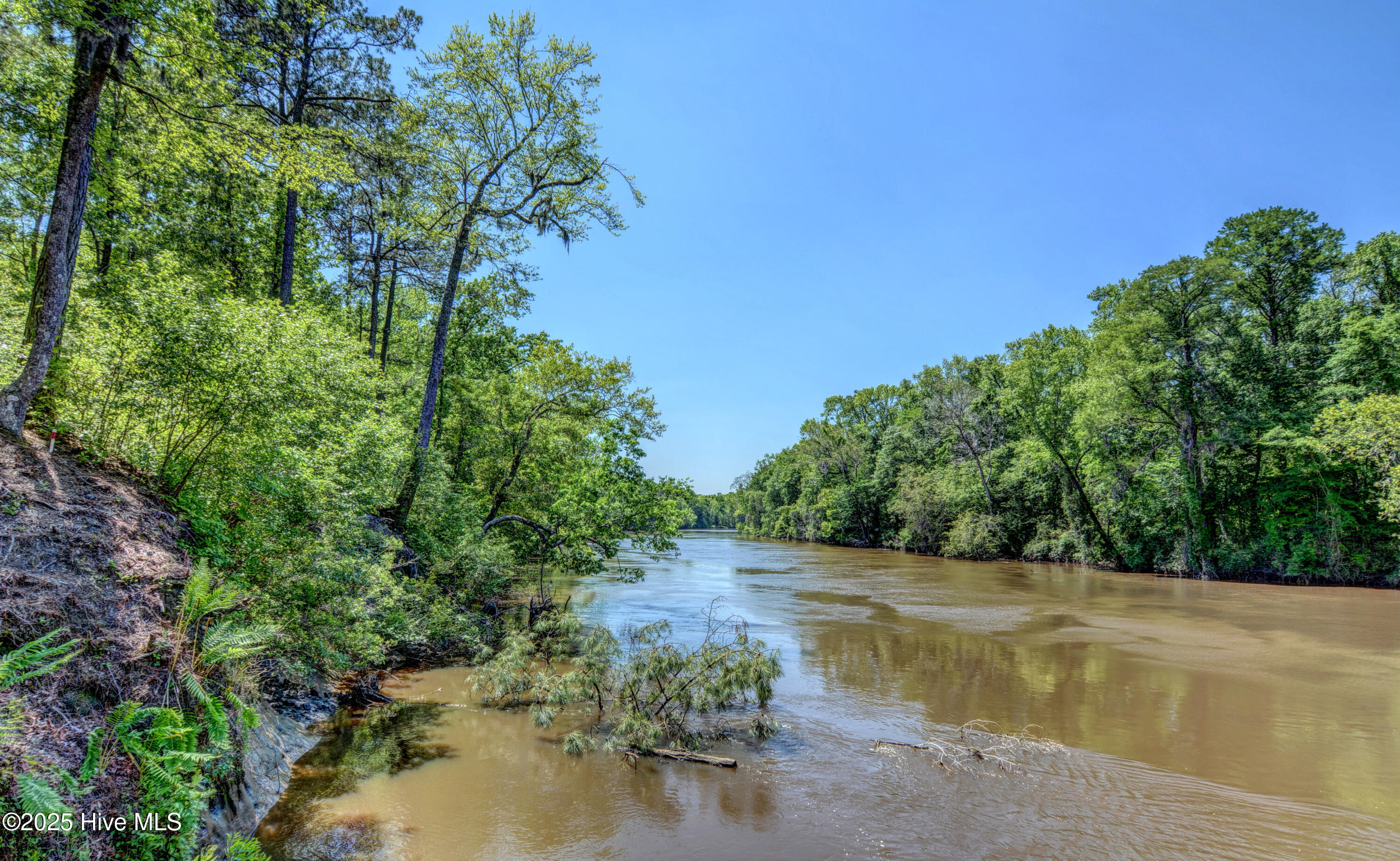 100531256 | Photo 58