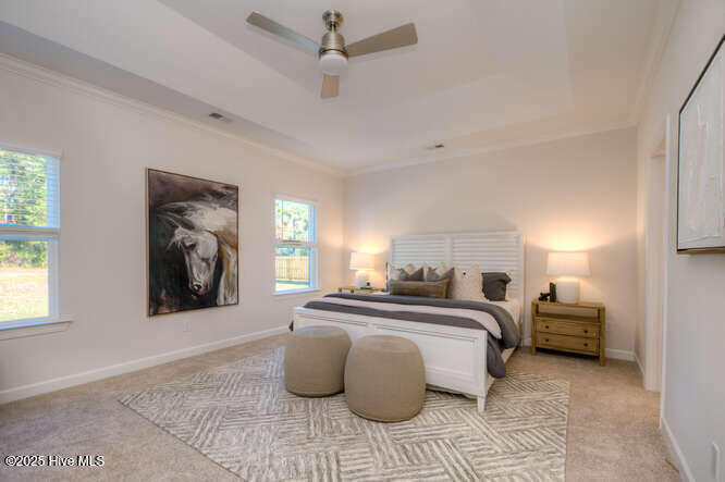 100540645 | Photo 18