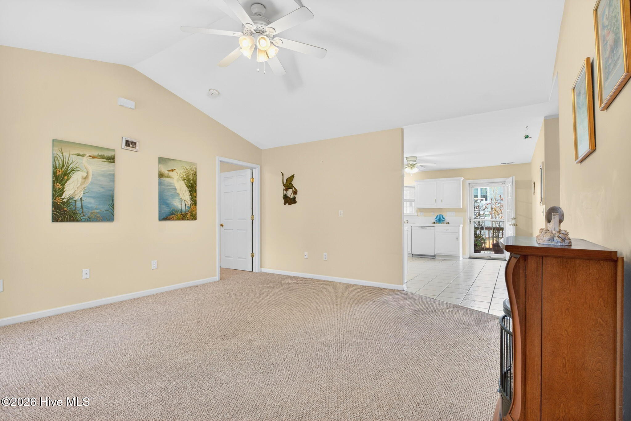 100558532 | Photo 18