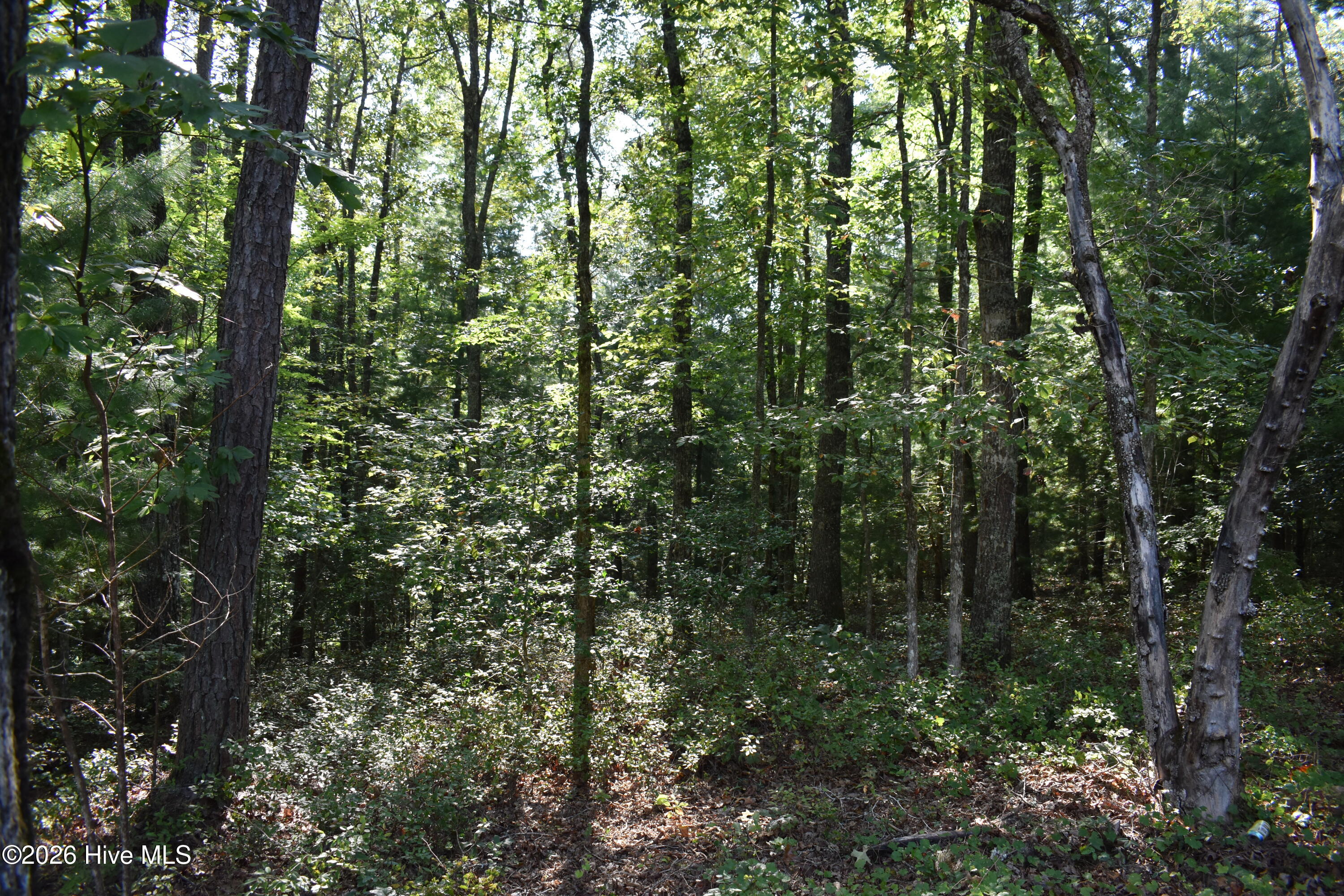 Photo 5 of Land for sale at Lot 31 Ranger Rd, Murphy, NC 28906 | MLS# 100601607 | Listing updated on 2026-09-04