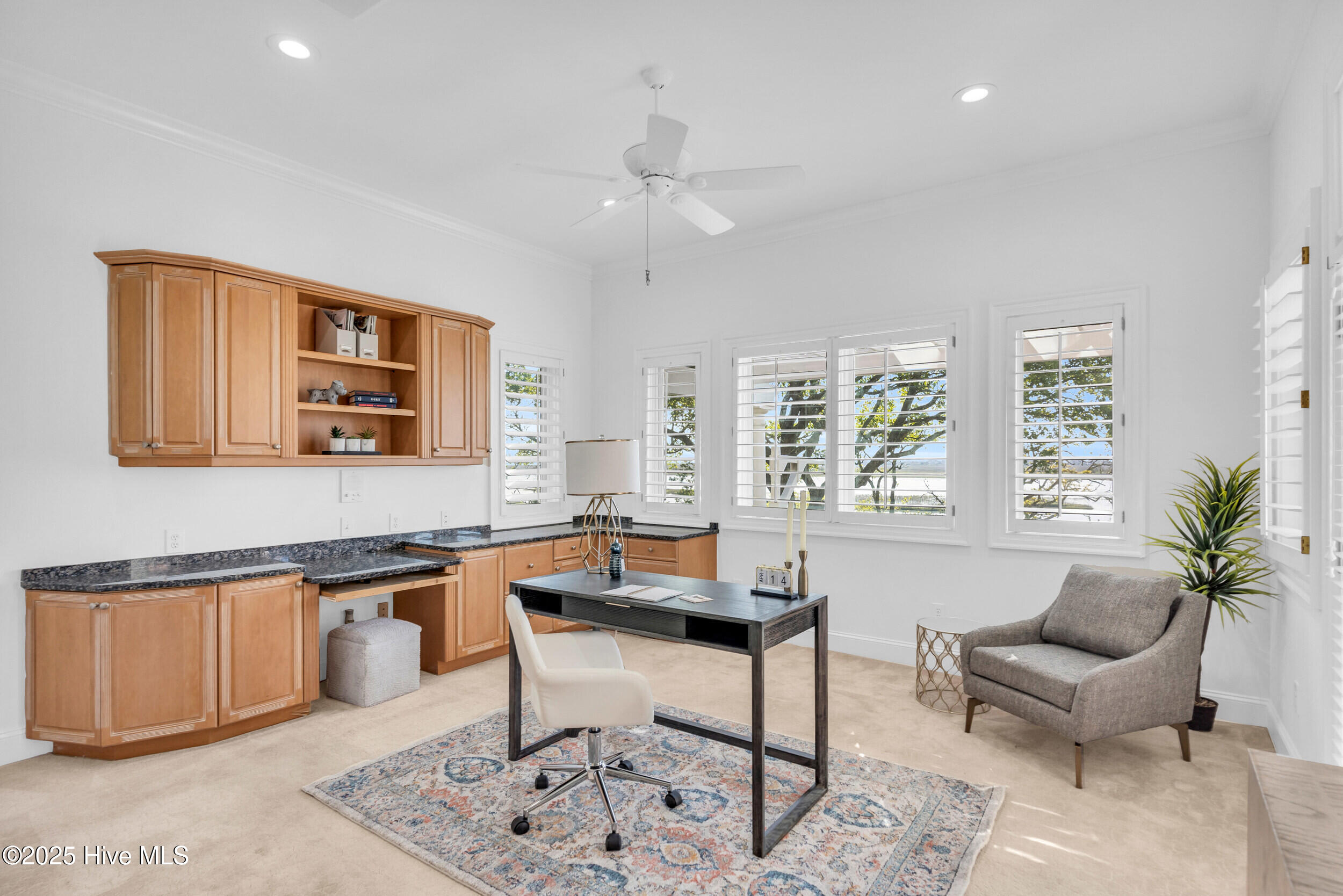 100505592 | Photo 38