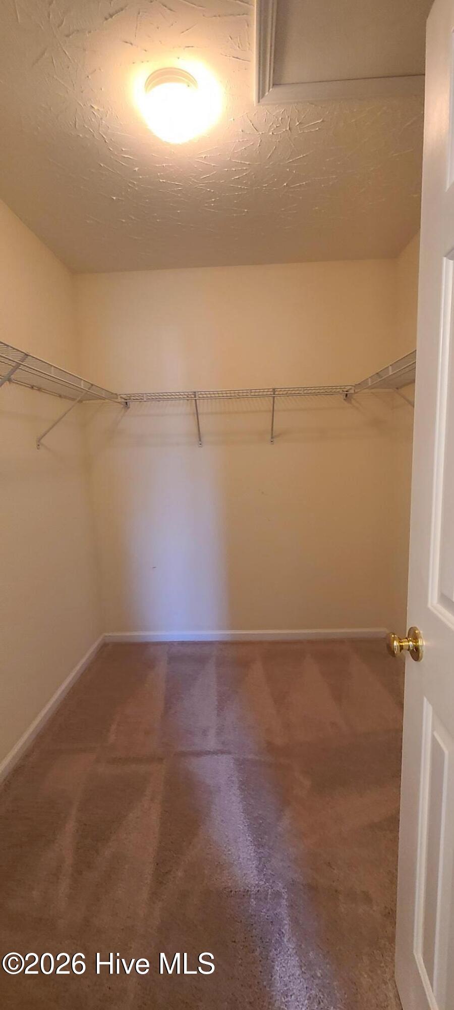 100559750 | Photo 10