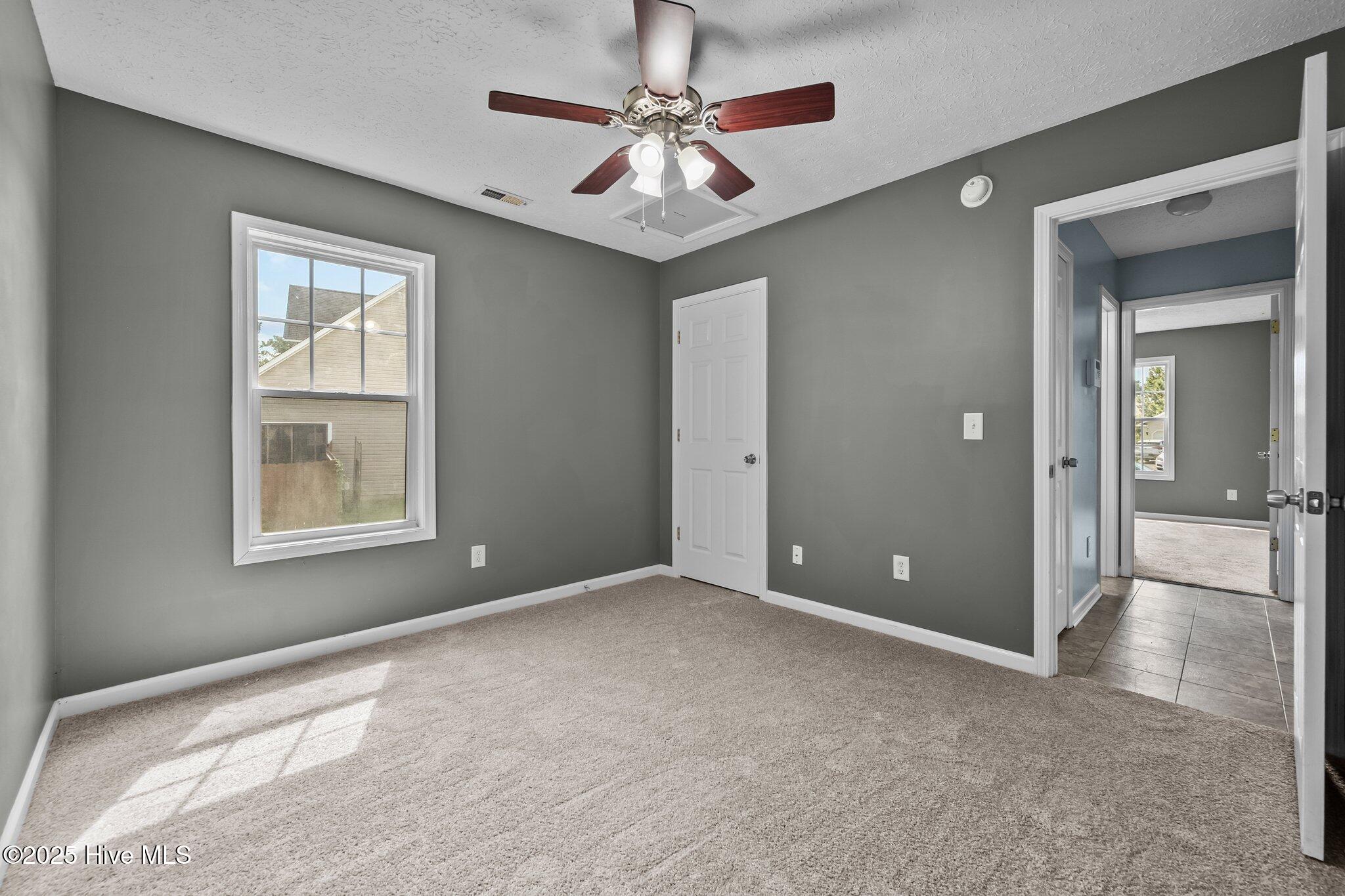 100545668 | Photo 19