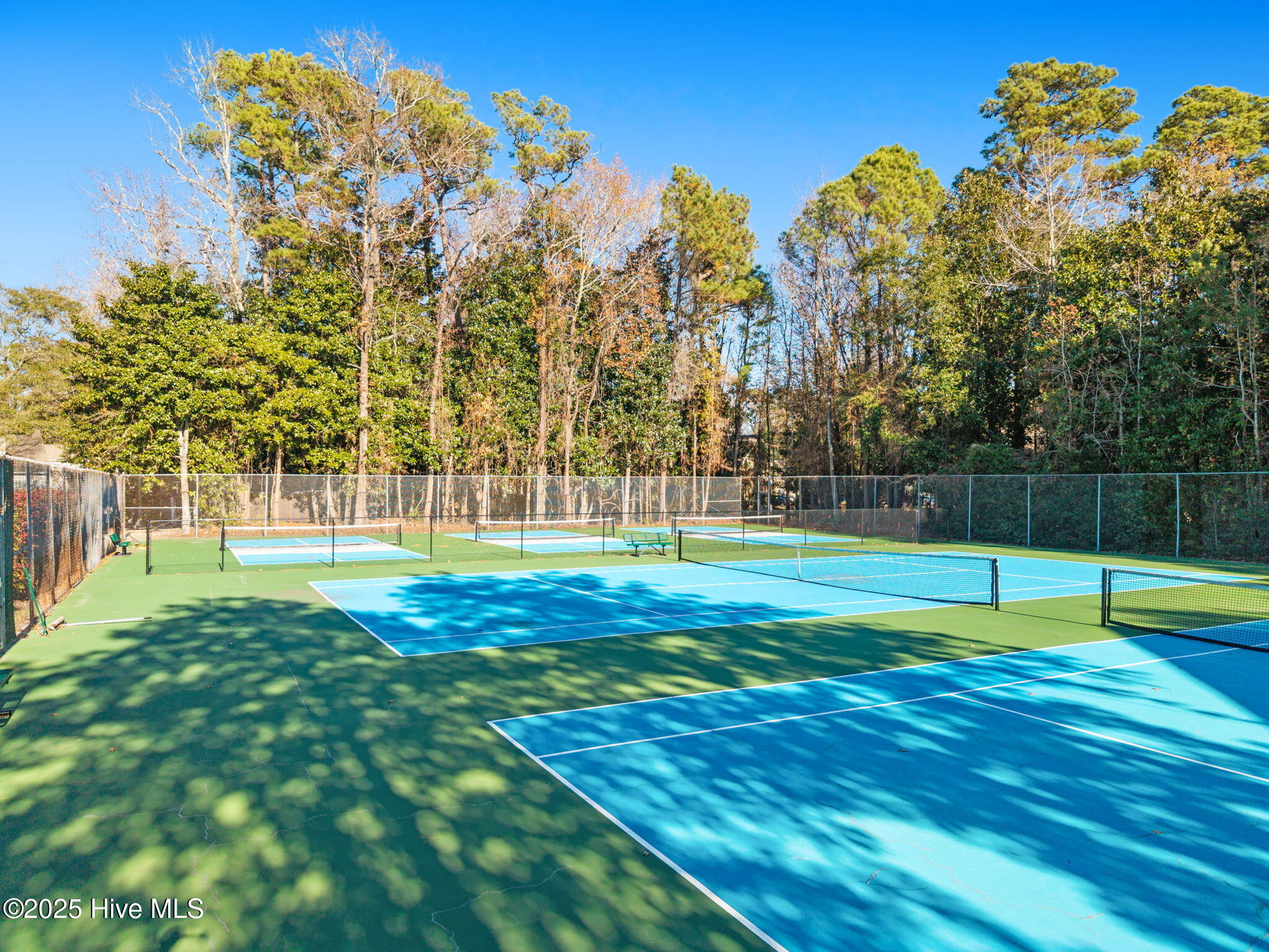 100547956 | Photo 32