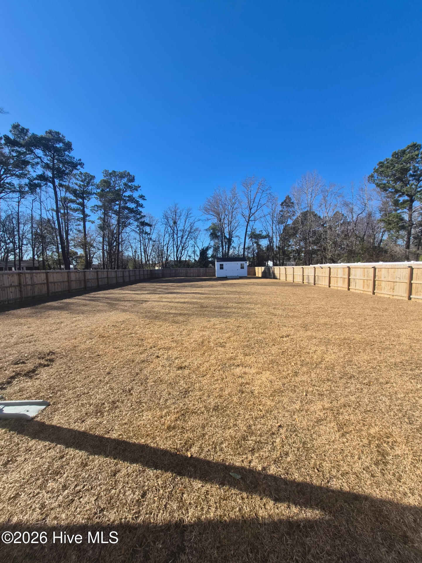 100547261 | Photo 31