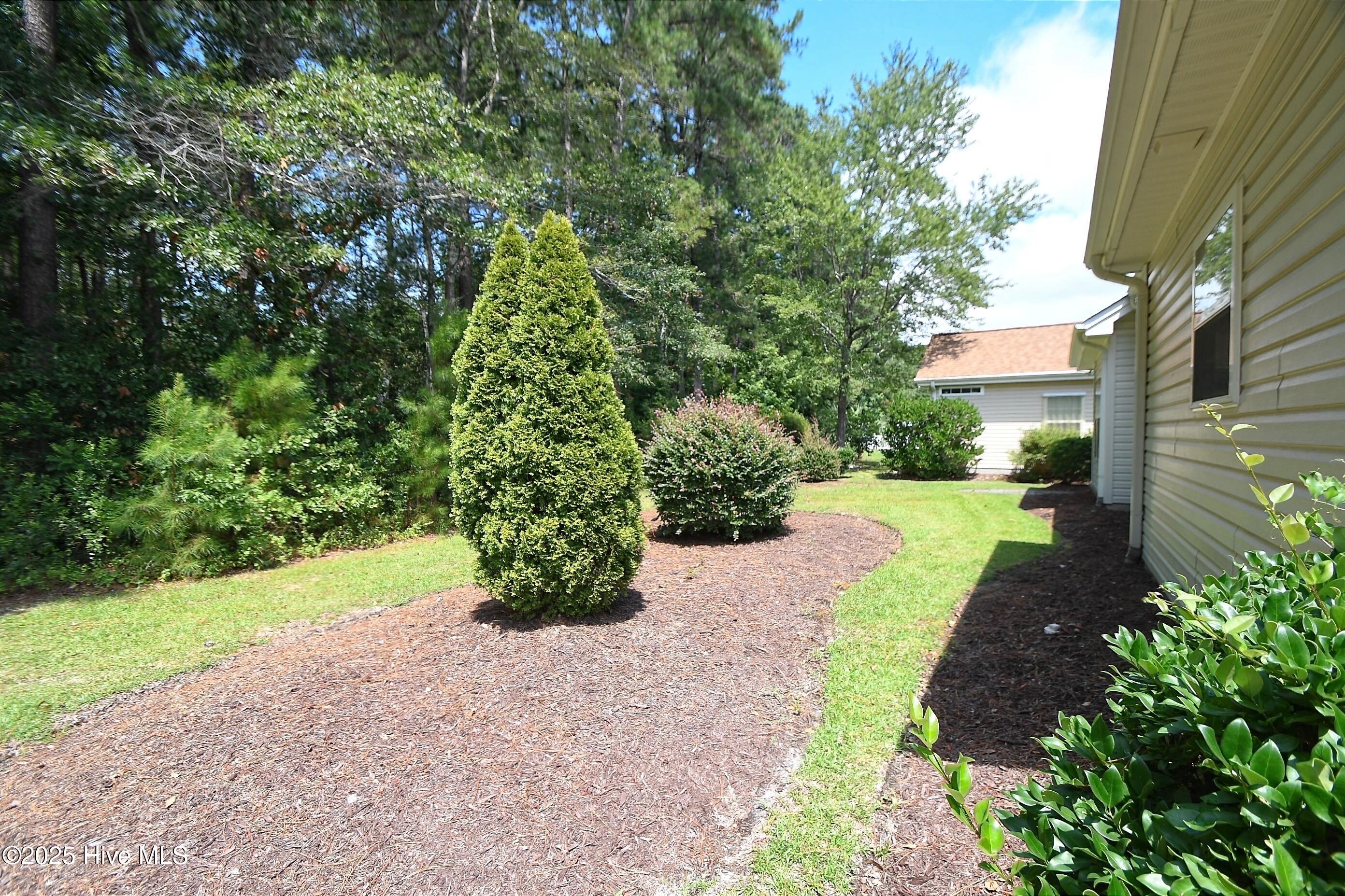 100546835 | Photo 15